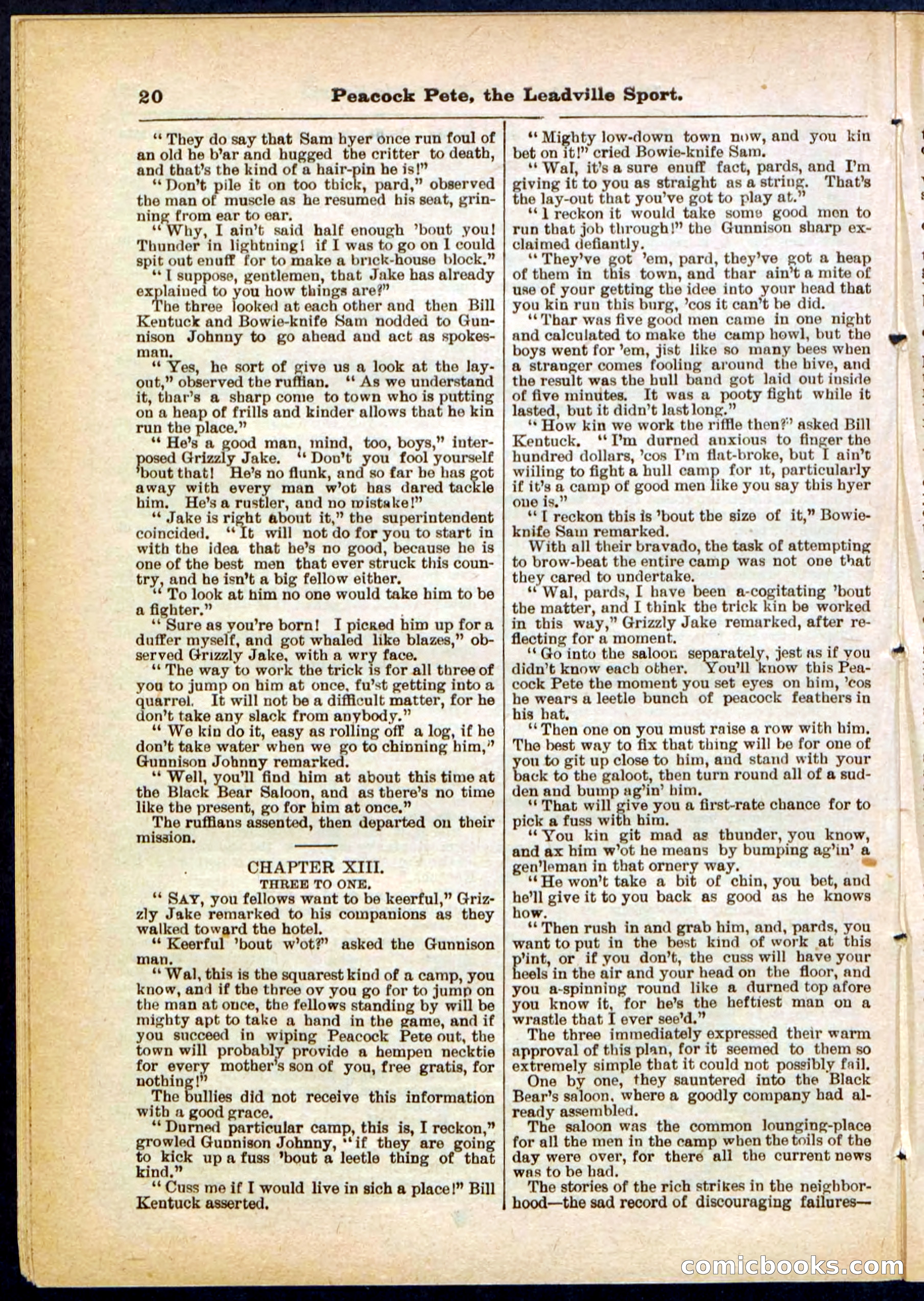 Beadle's Pocket Library No. 291 — page 20 of 32