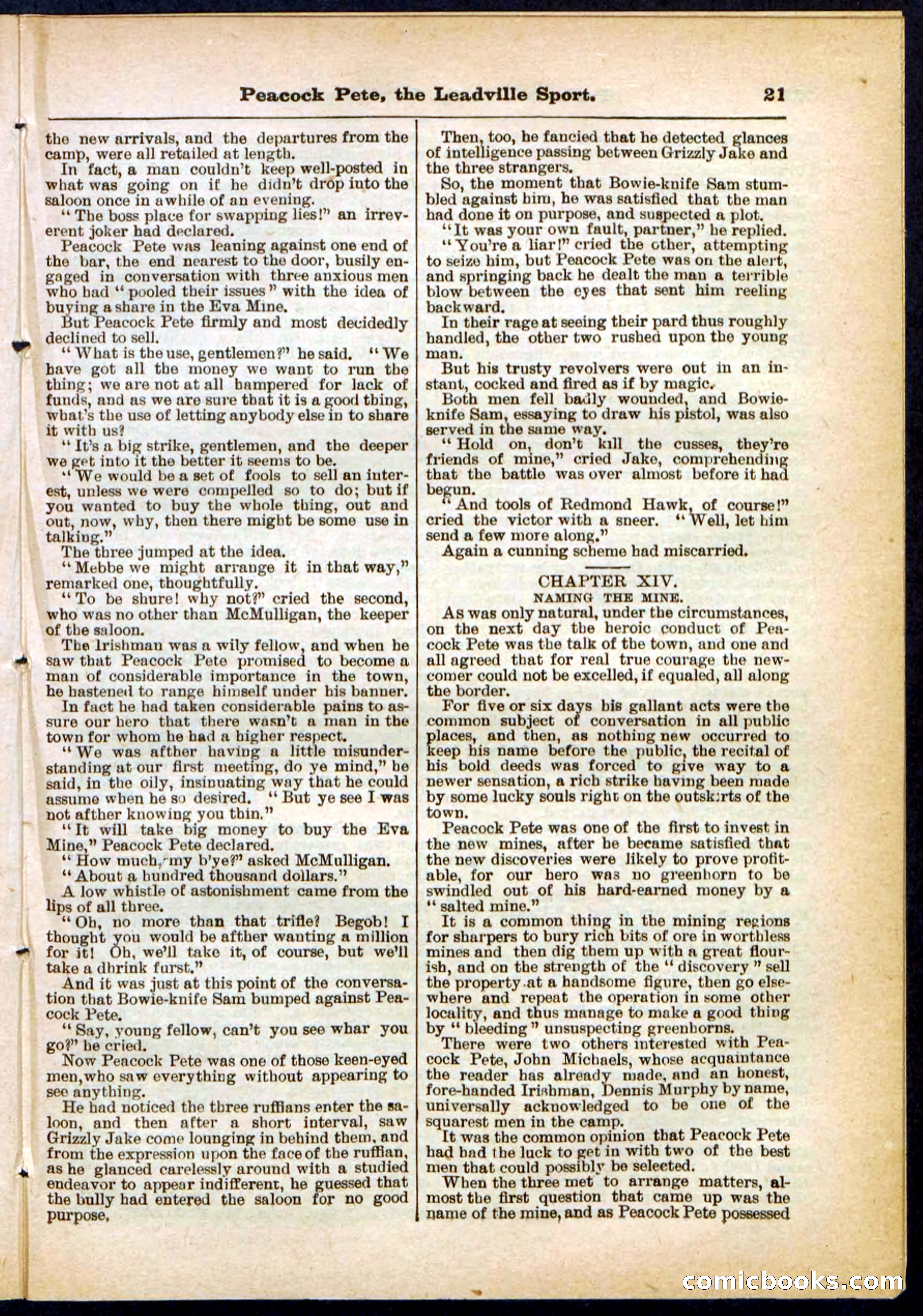 Beadle's Pocket Library No. 291 — page 21 of 32