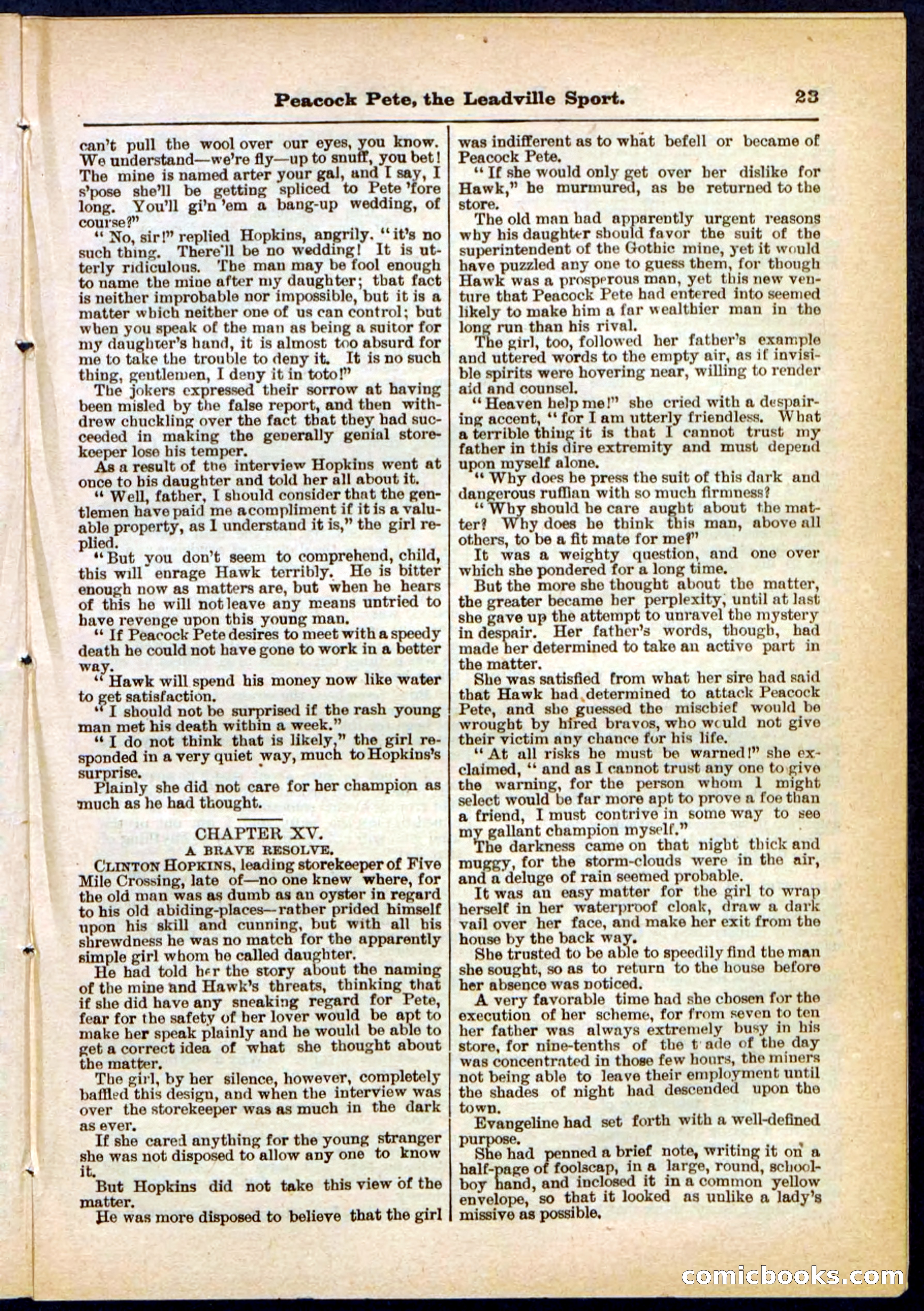 Beadle's Pocket Library No. 291 — page 23 of 32