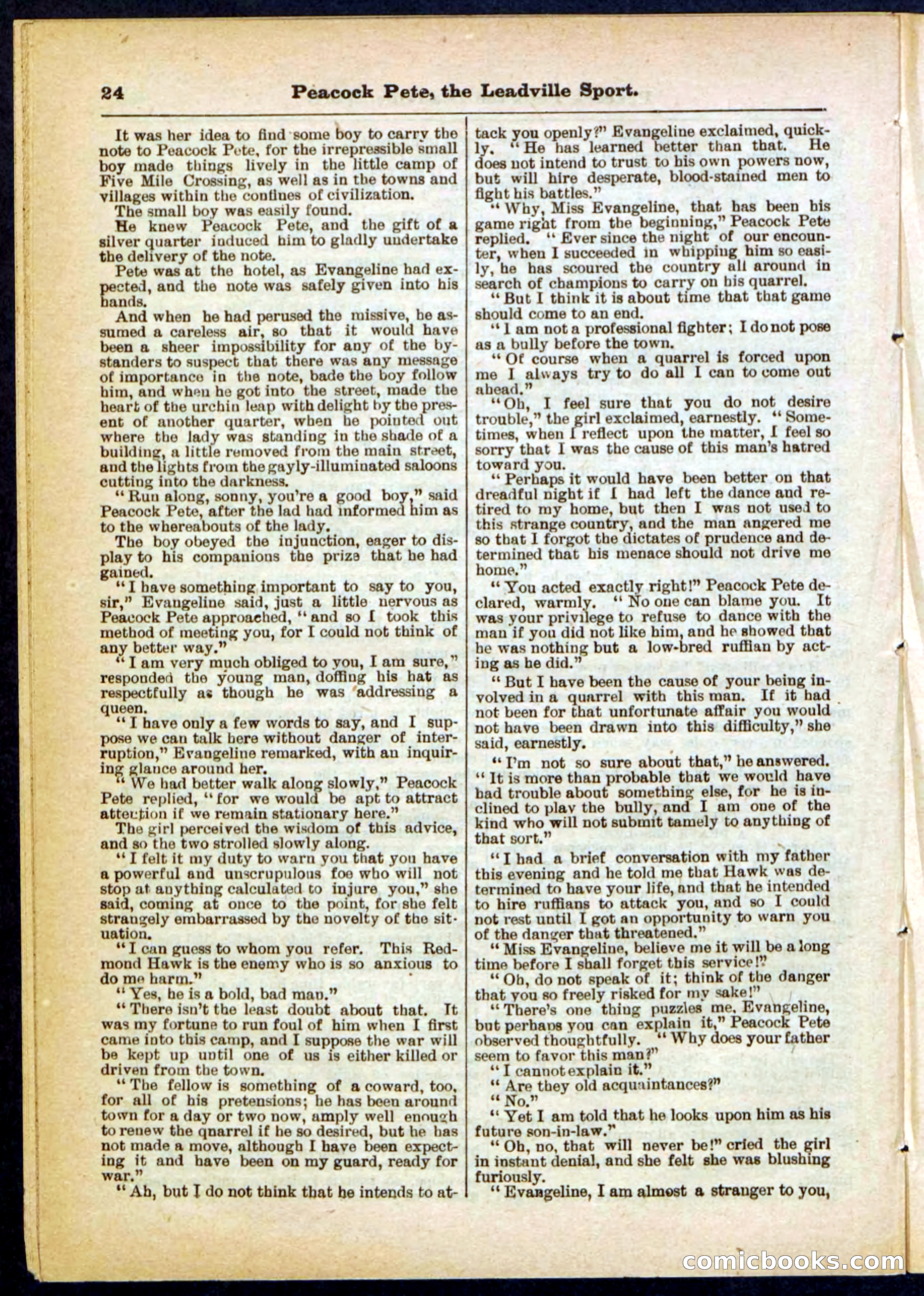Beadle's Pocket Library No. 291 — page 24 of 32