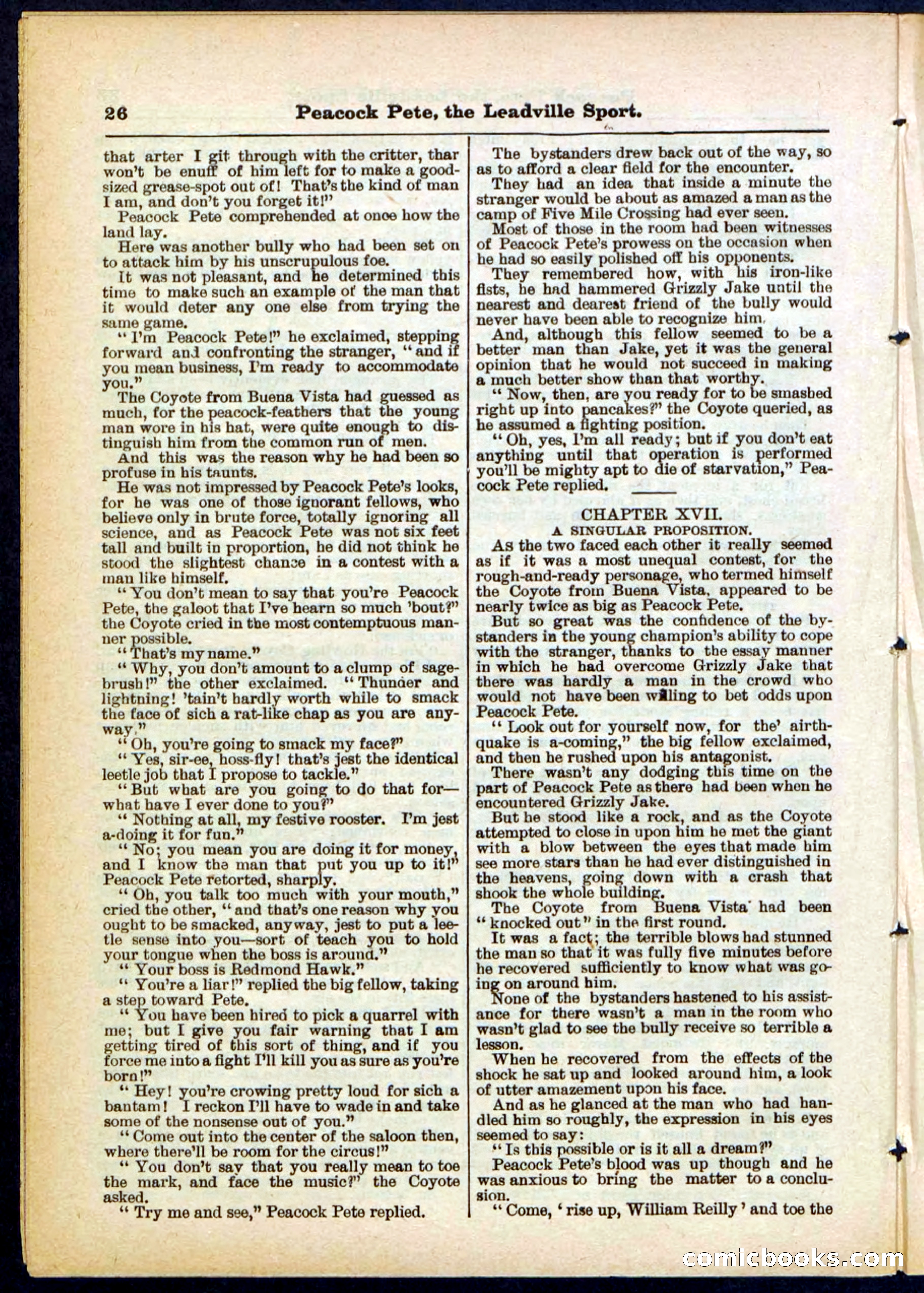 Beadle's Pocket Library No. 291 — page 26 of 32