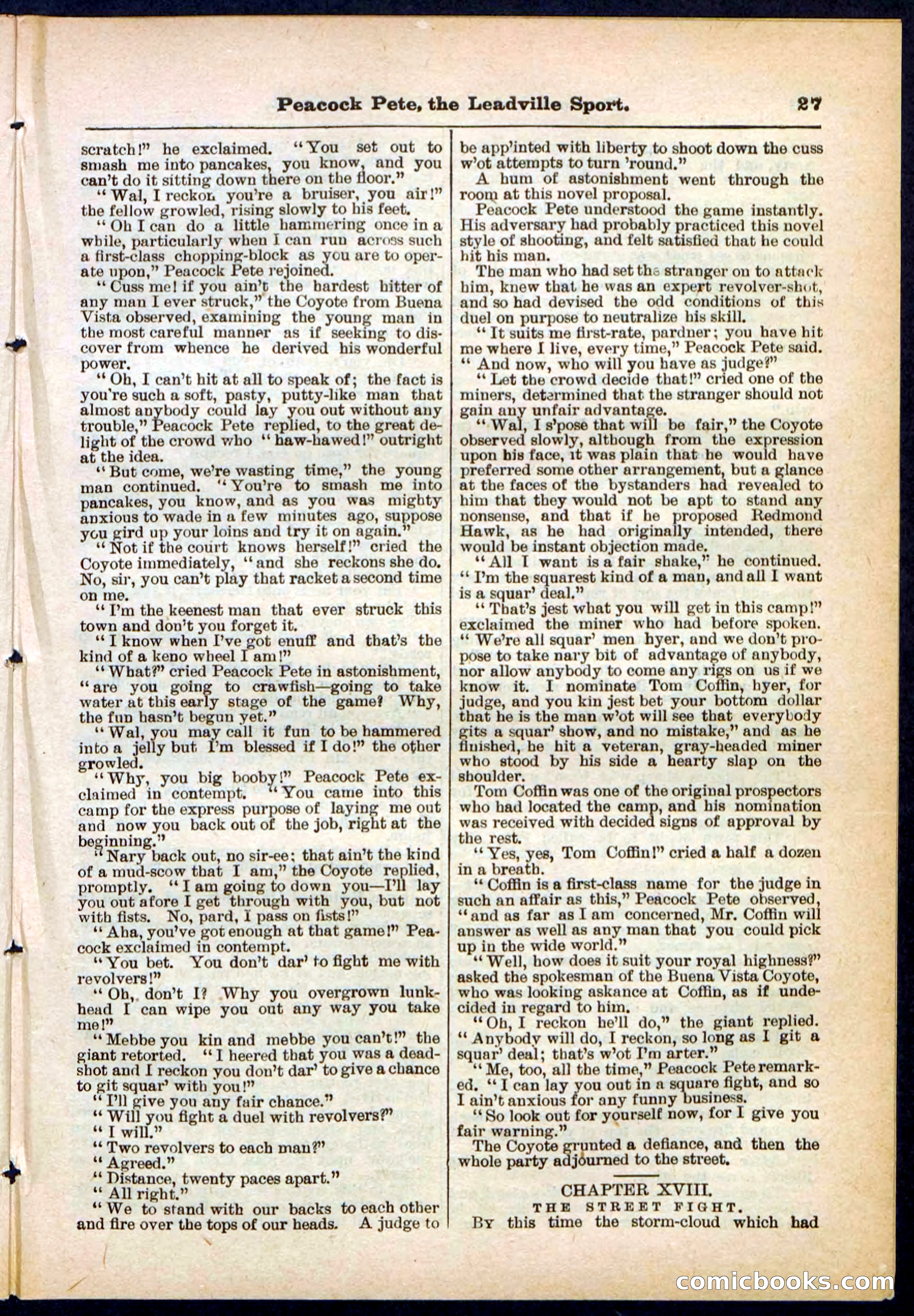 Beadle's Pocket Library No. 291 — page 27 of 32