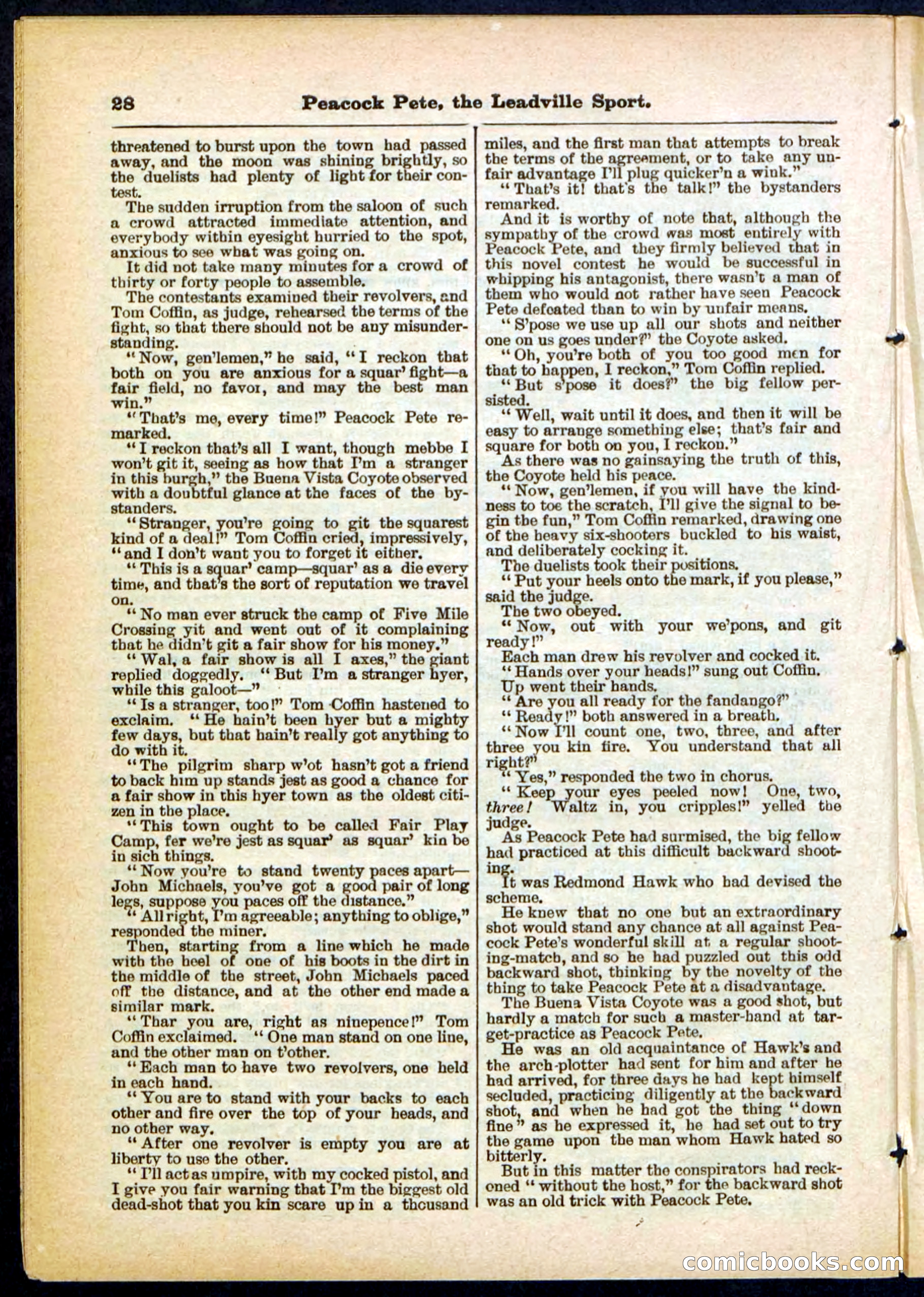 Beadle's Pocket Library No. 291 — page 28 of 32