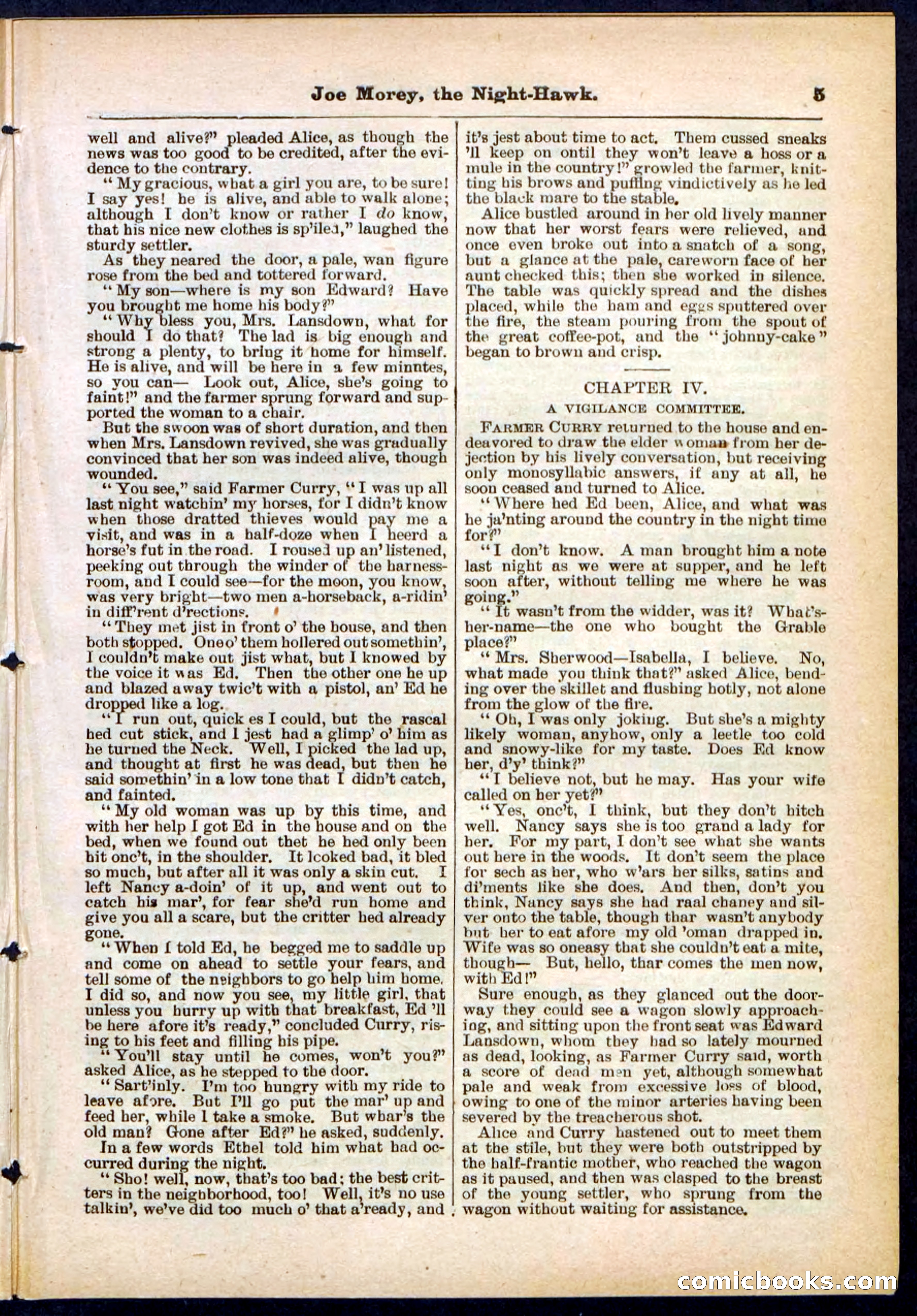 Beadle's Pocket Library No. 292 — page 5 of 32