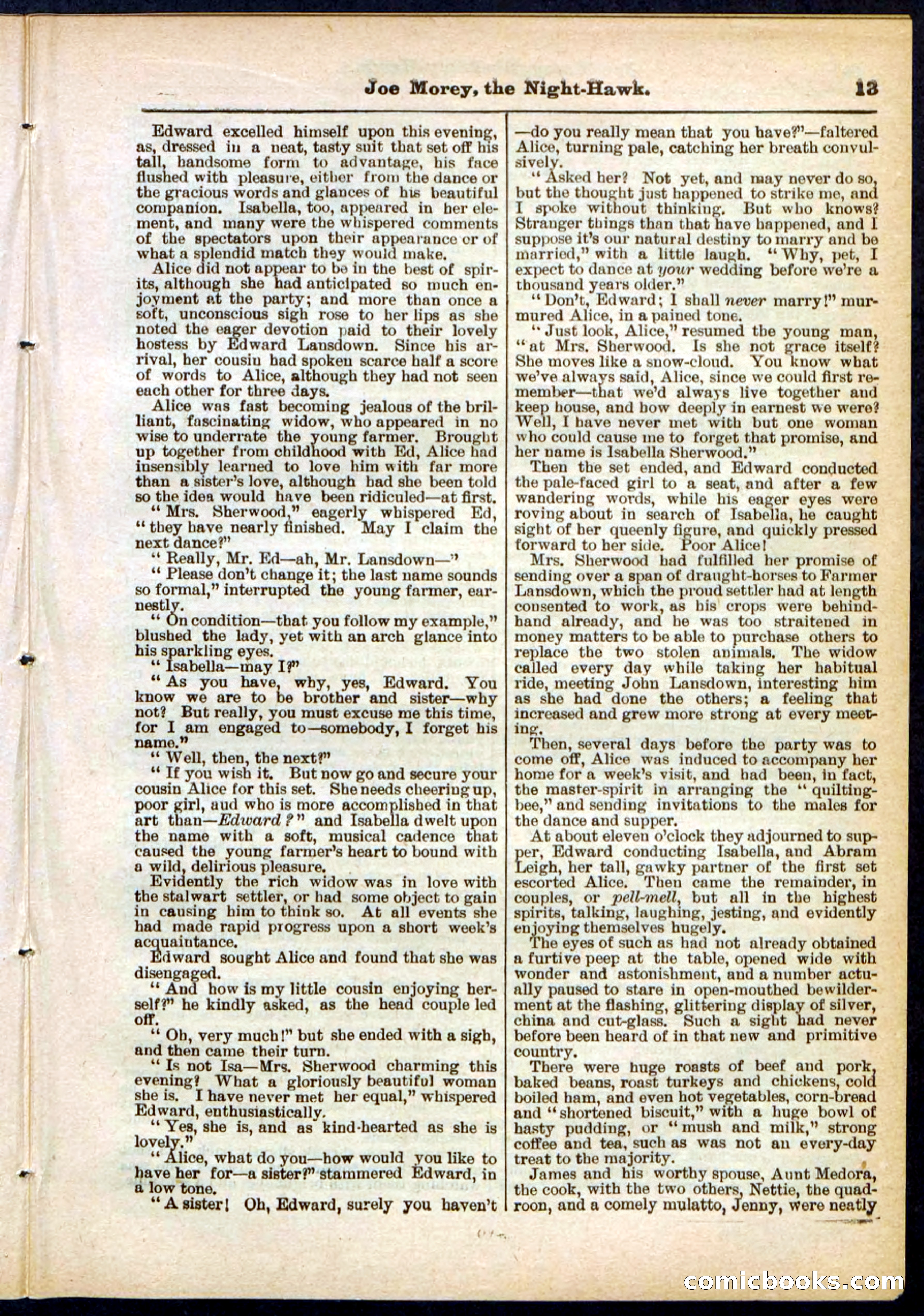 Beadle's Pocket Library No. 292 — page 13 of 32