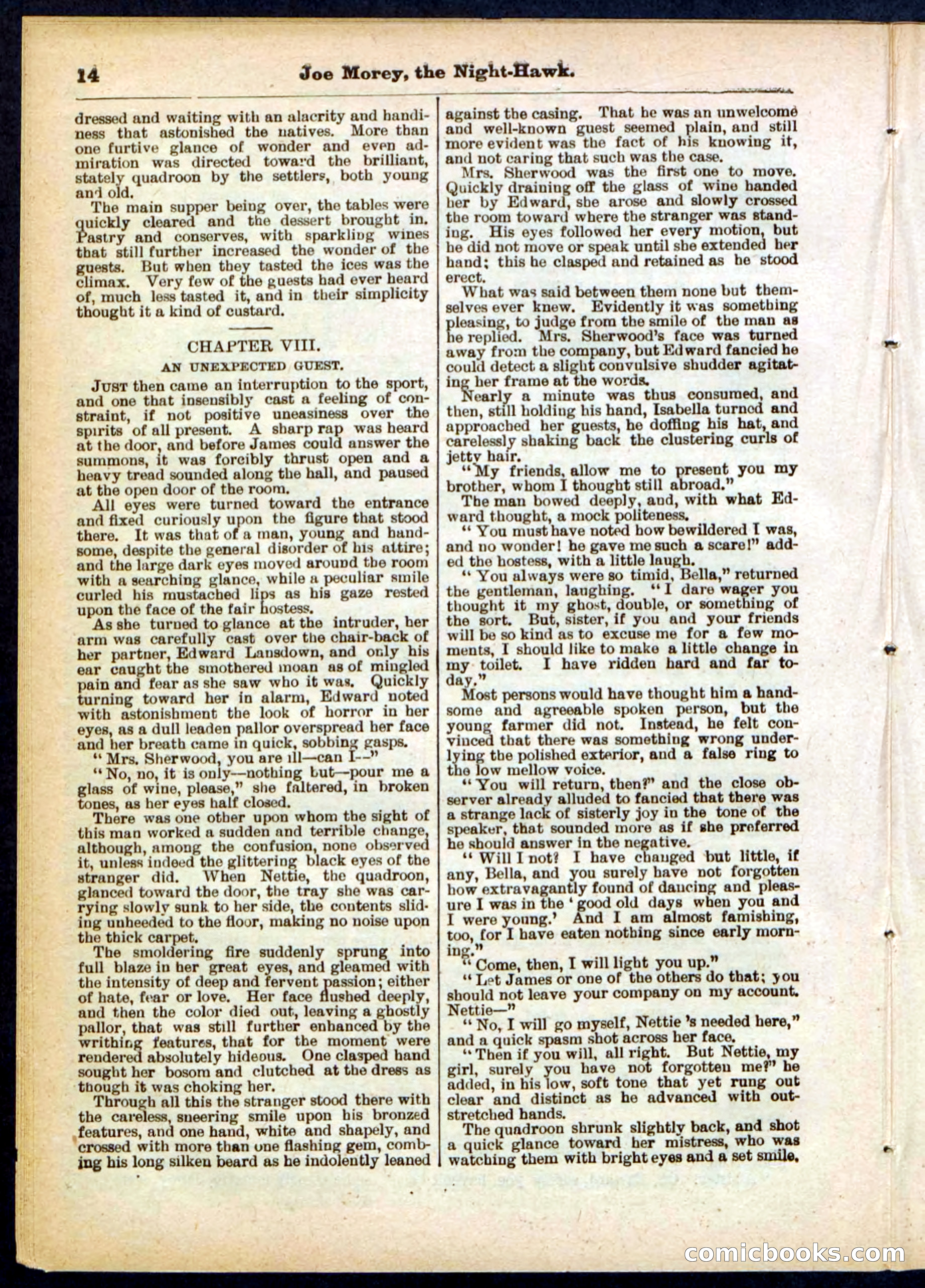 Beadle's Pocket Library No. 292 — page 14 of 32