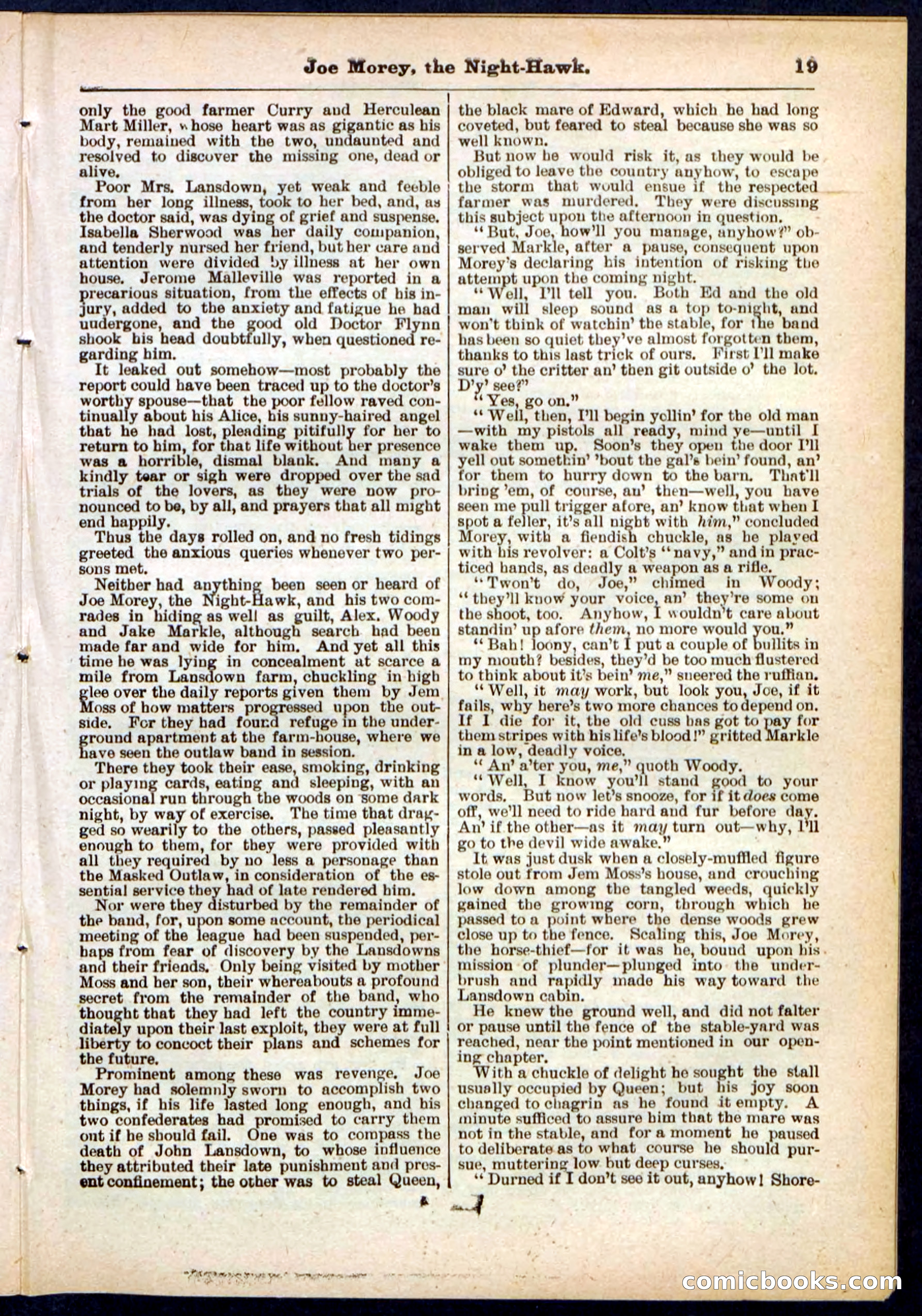Beadle's Pocket Library No. 292 — page 19 of 32