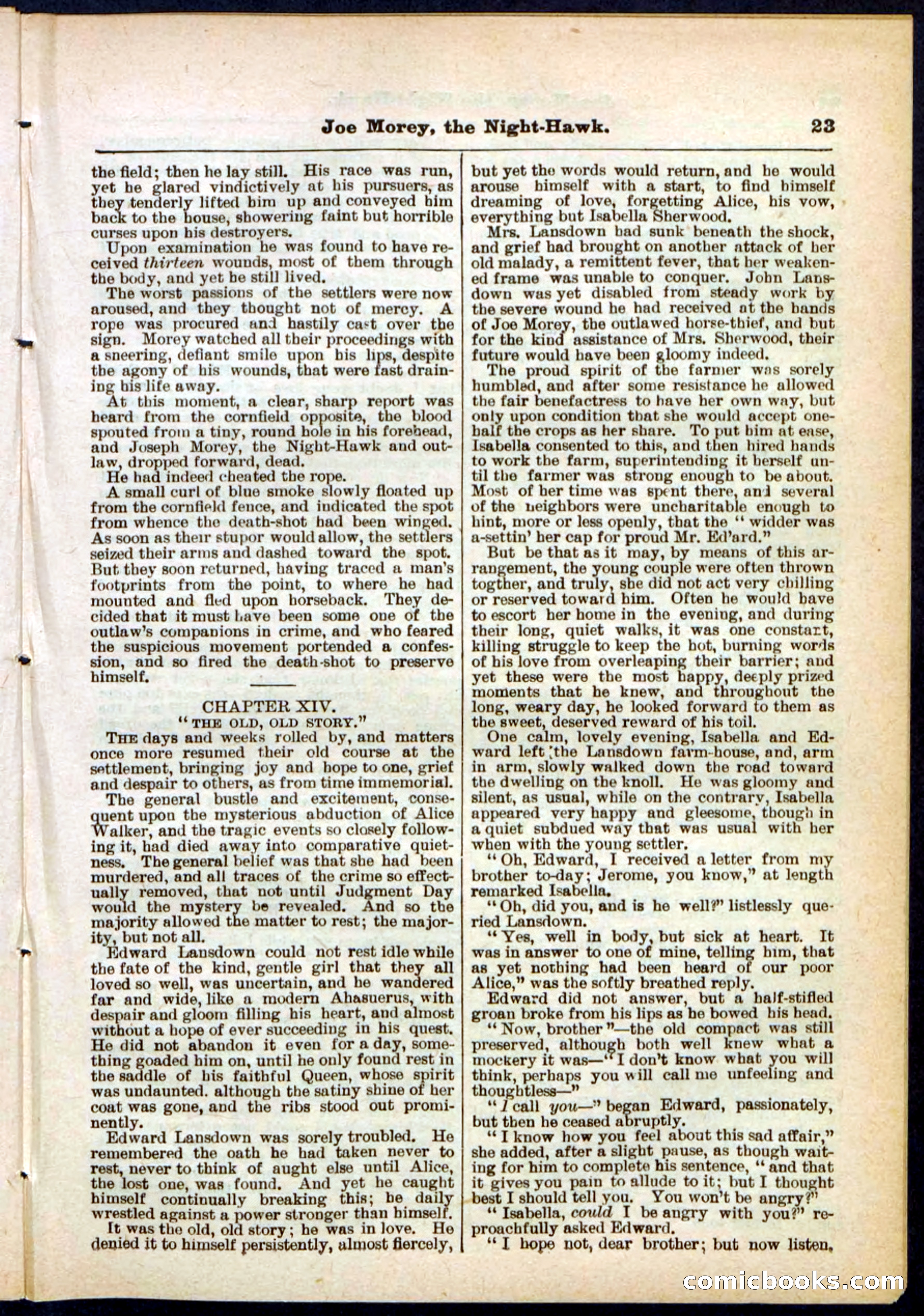 Beadle's Pocket Library No. 292 — page 23 of 32