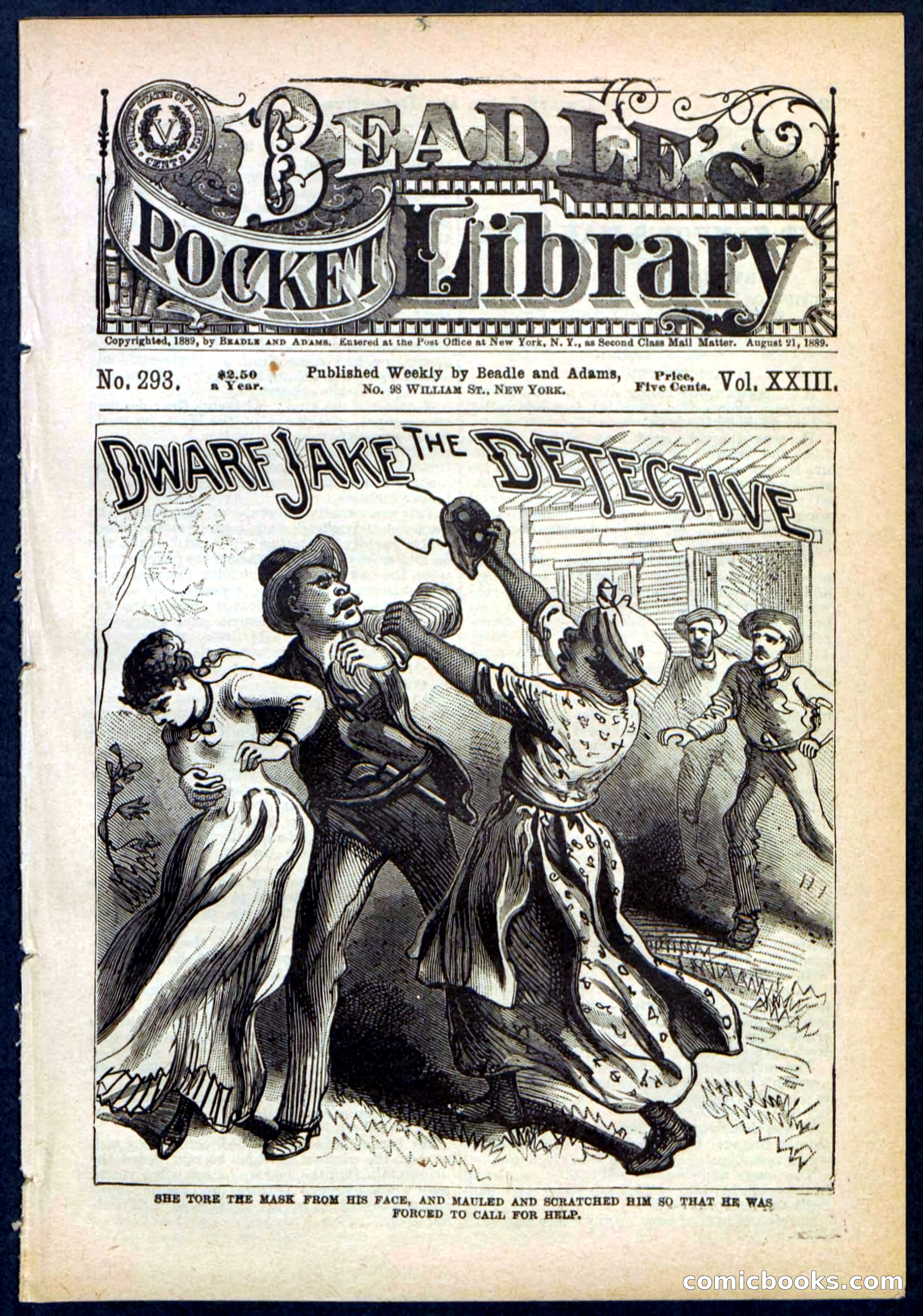 Beadle's Pocket Library No. 293 — page 1 of 32