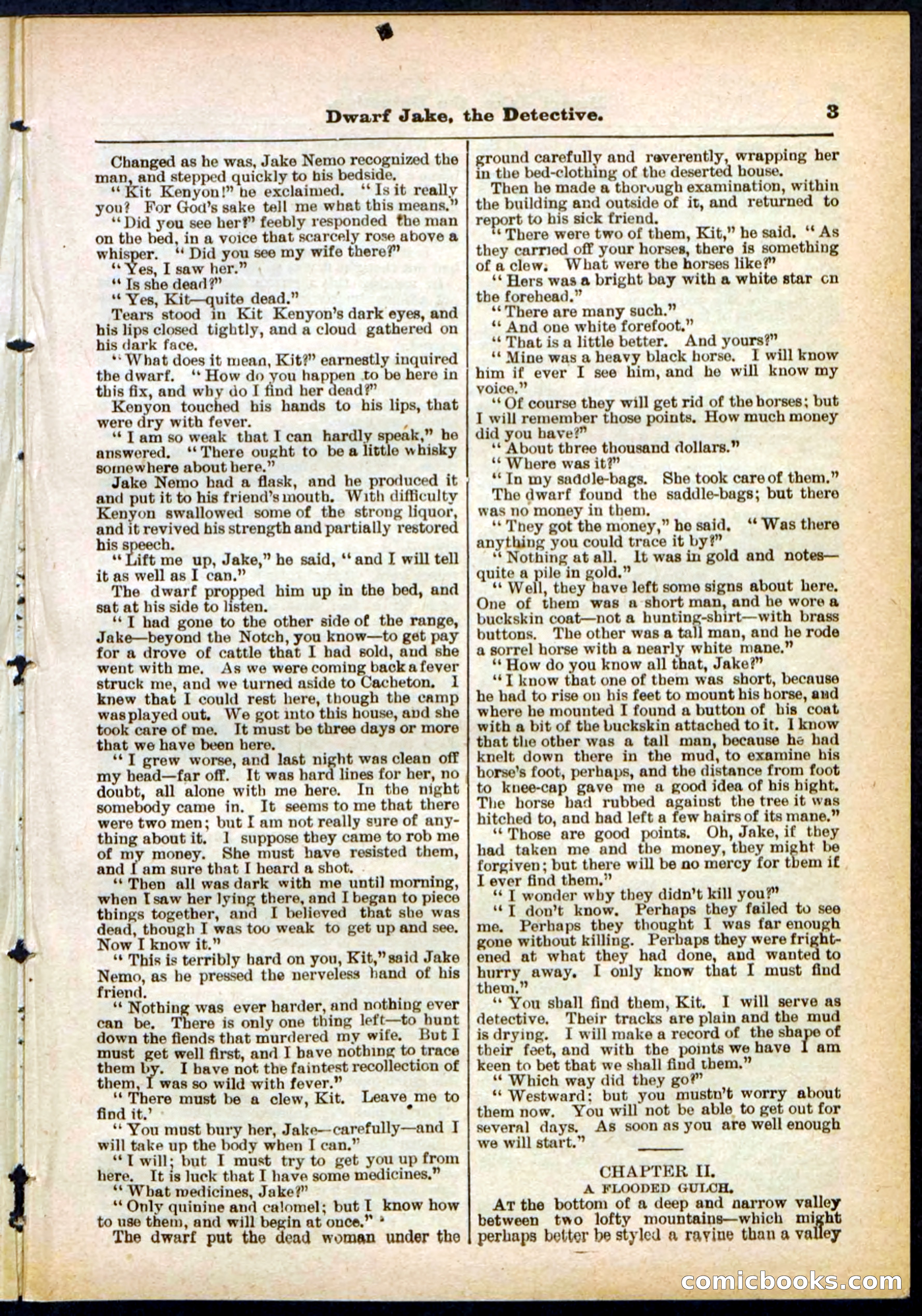 Beadle's Pocket Library No. 293 — page 3 of 32