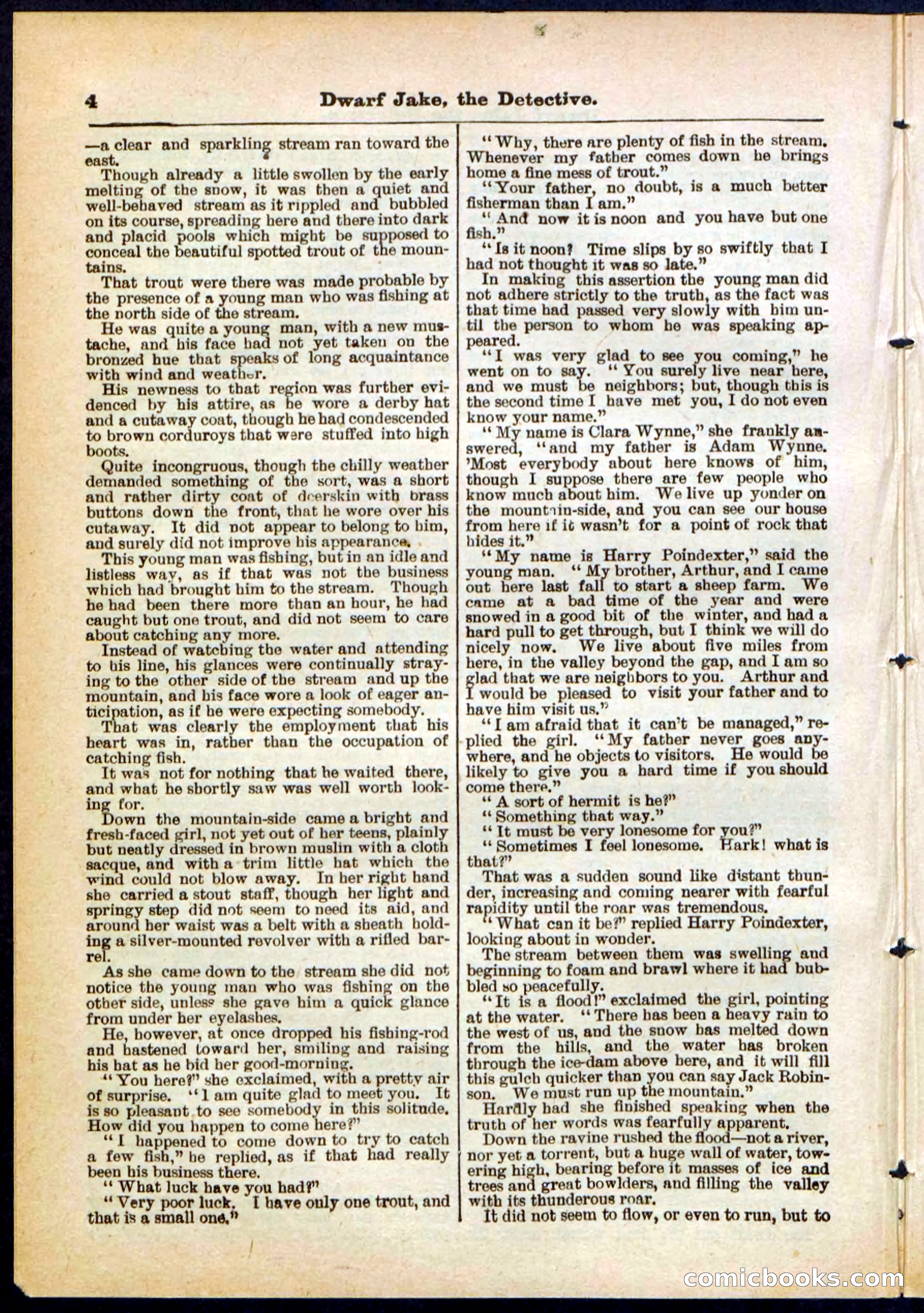 Beadle's Pocket Library No. 293 — page 4 of 32
