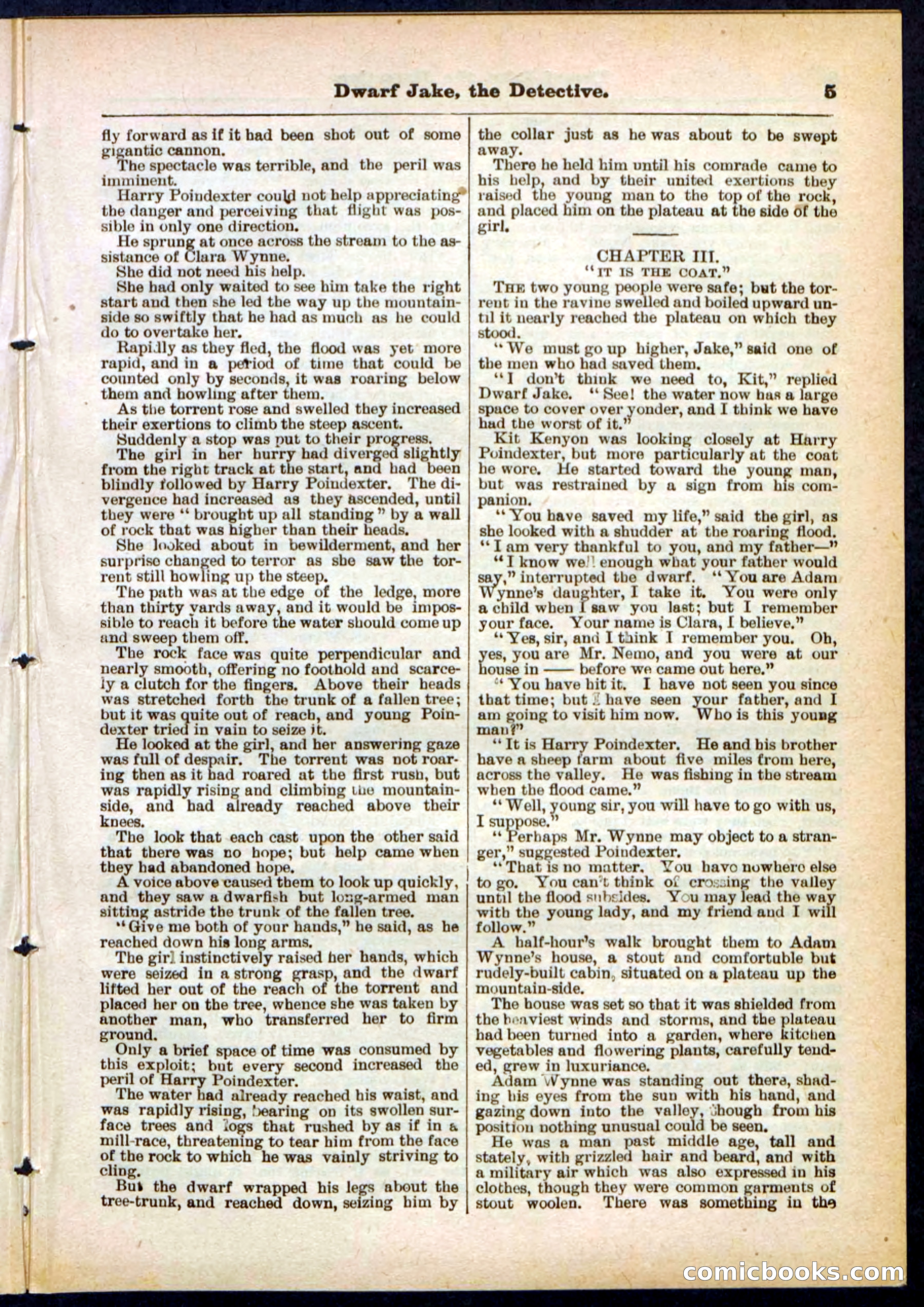 Beadle's Pocket Library No. 293 — page 5 of 32