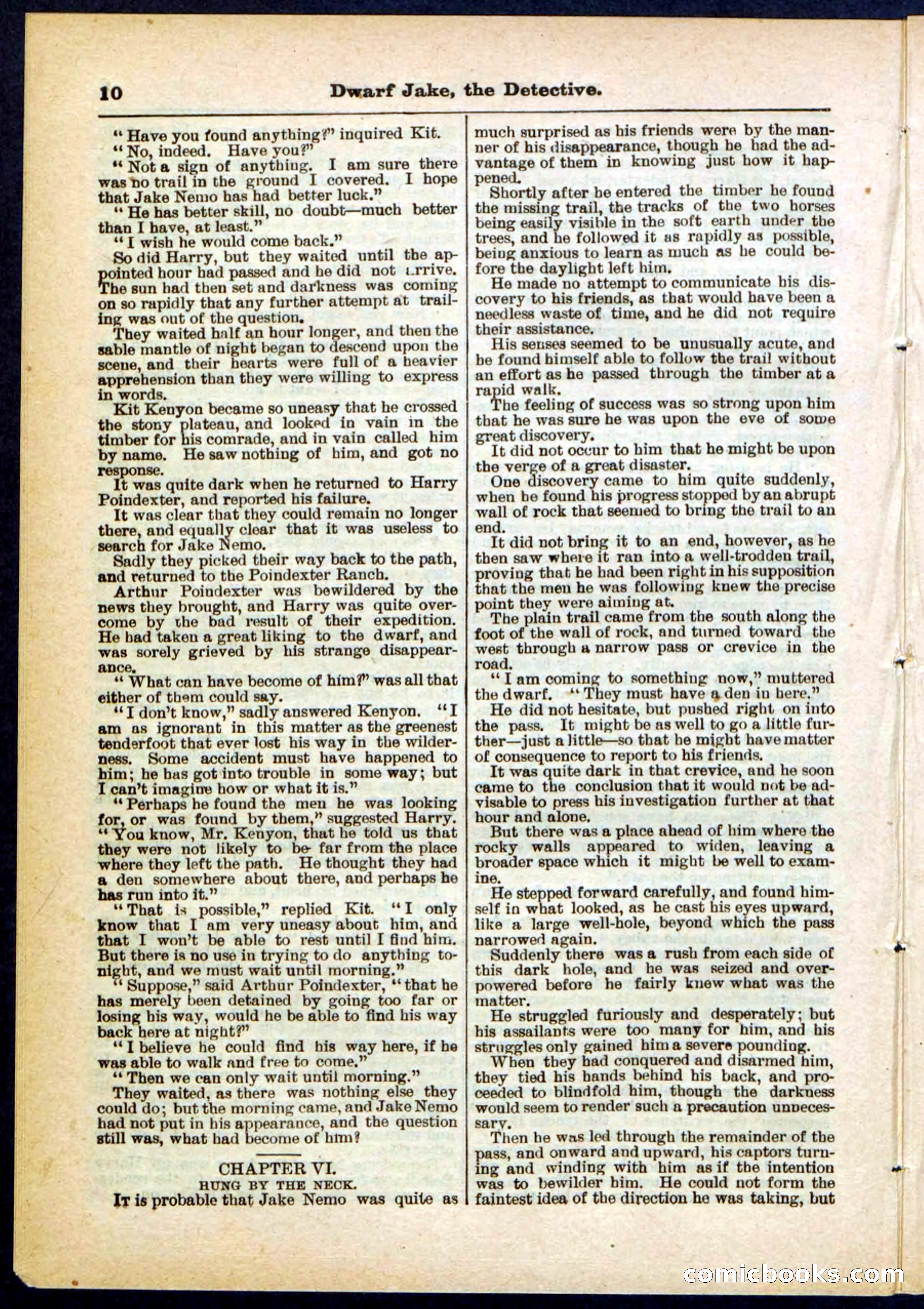 Beadle's Pocket Library No. 293 — page 10 of 32
