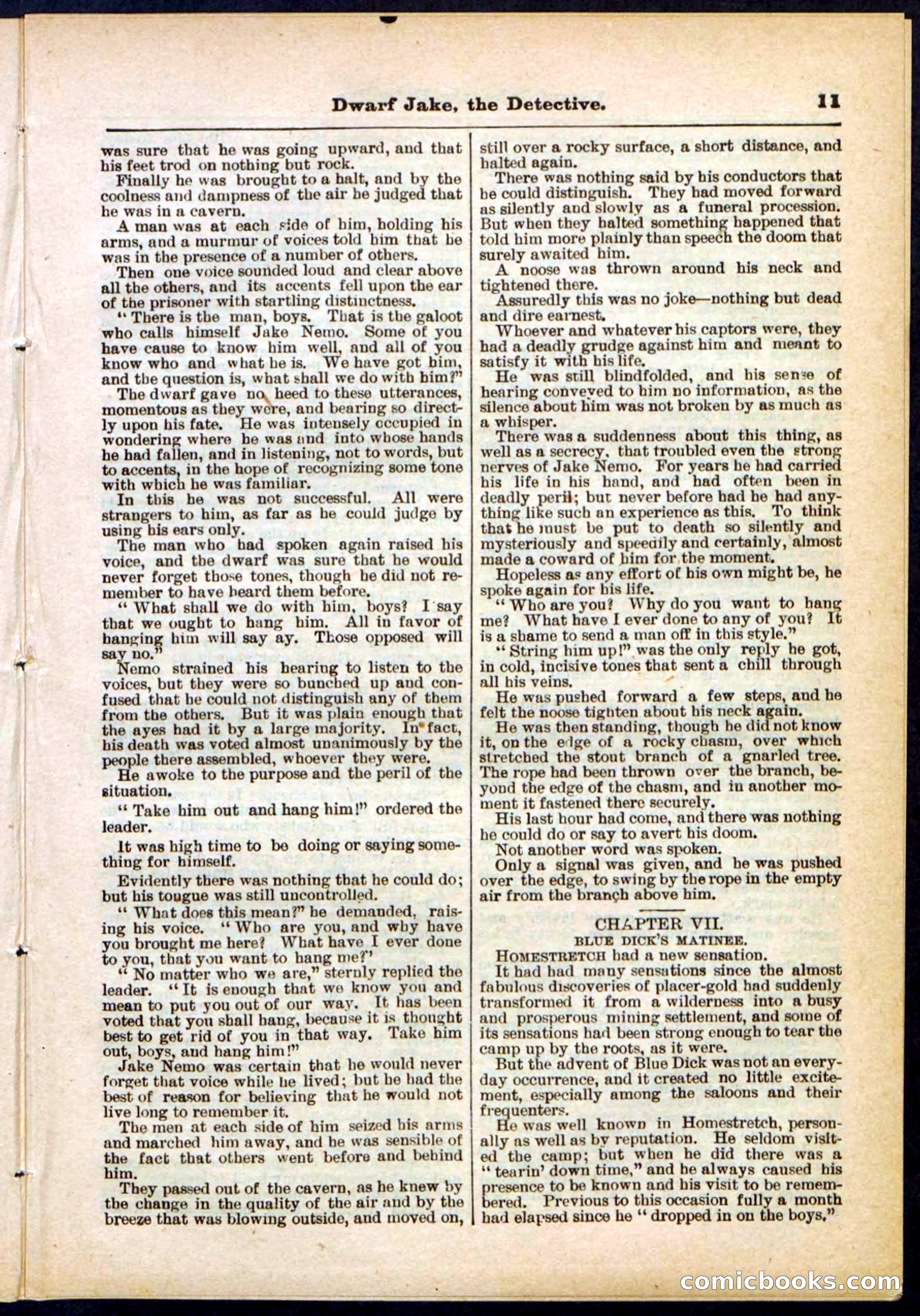 Beadle's Pocket Library No. 293 — page 11 of 32