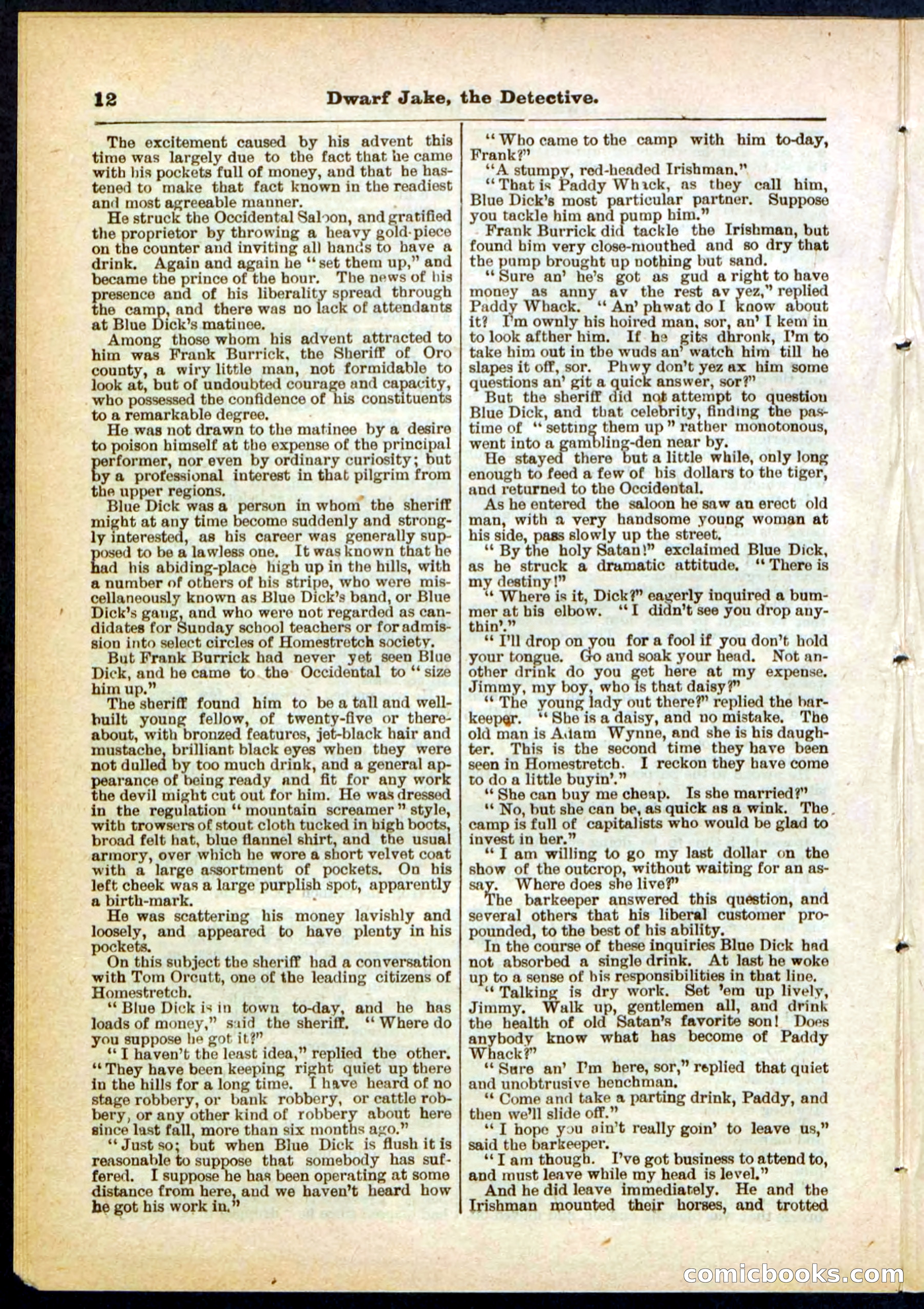 Beadle's Pocket Library No. 293 — page 12 of 32