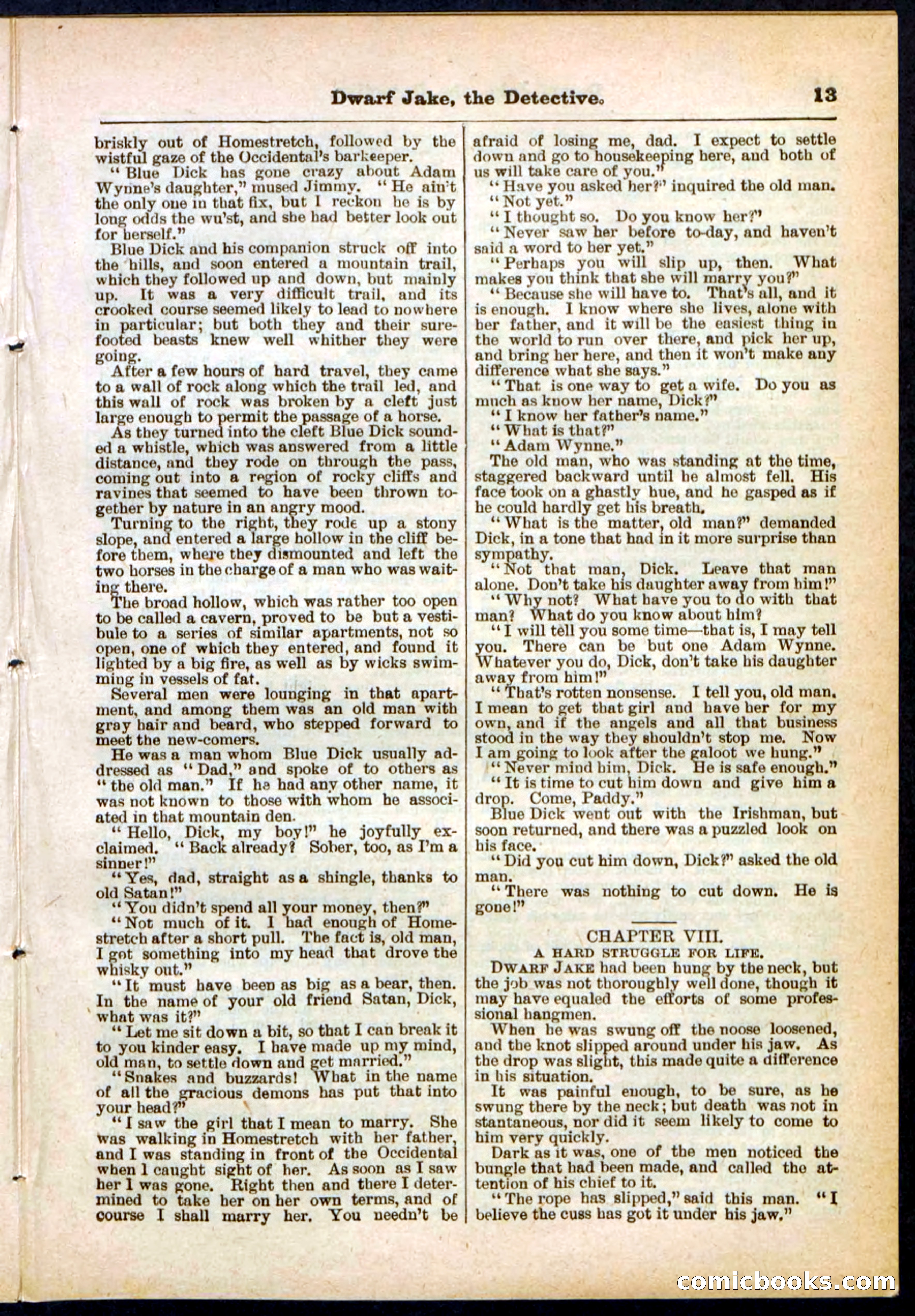 Beadle's Pocket Library No. 293 — page 13 of 32