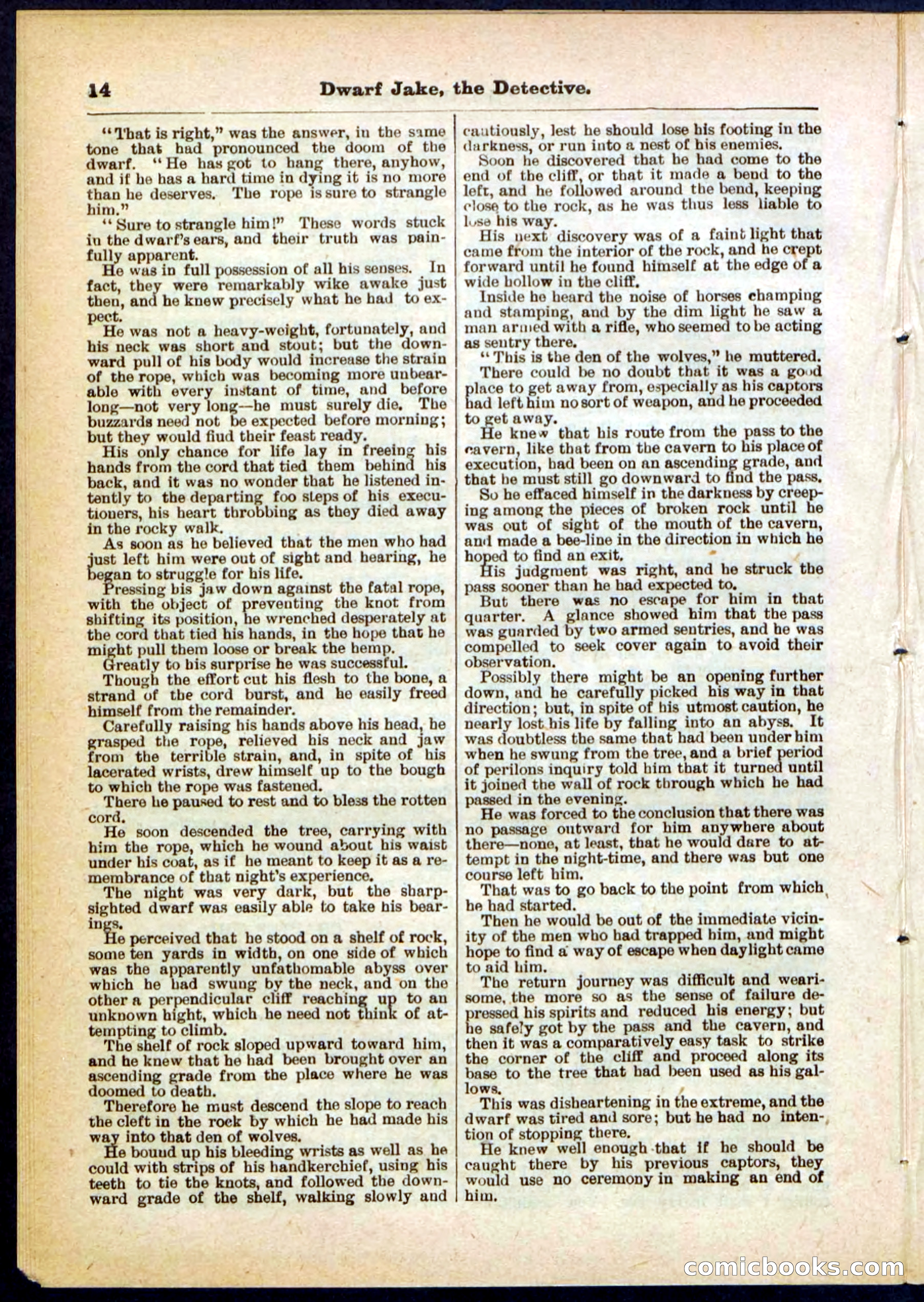 Beadle's Pocket Library No. 293 — page 14 of 32
