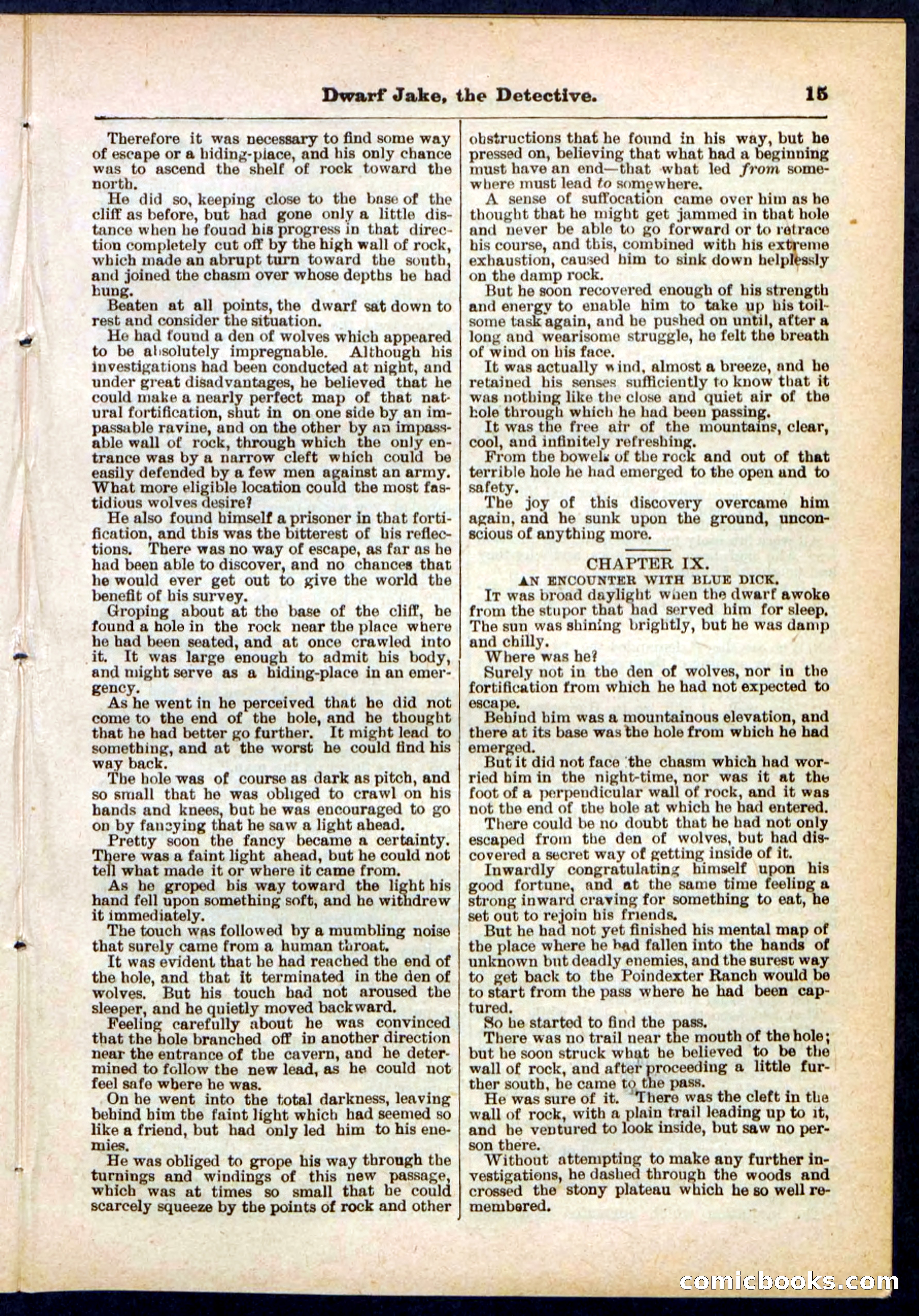 Beadle's Pocket Library No. 293 — page 15 of 32
