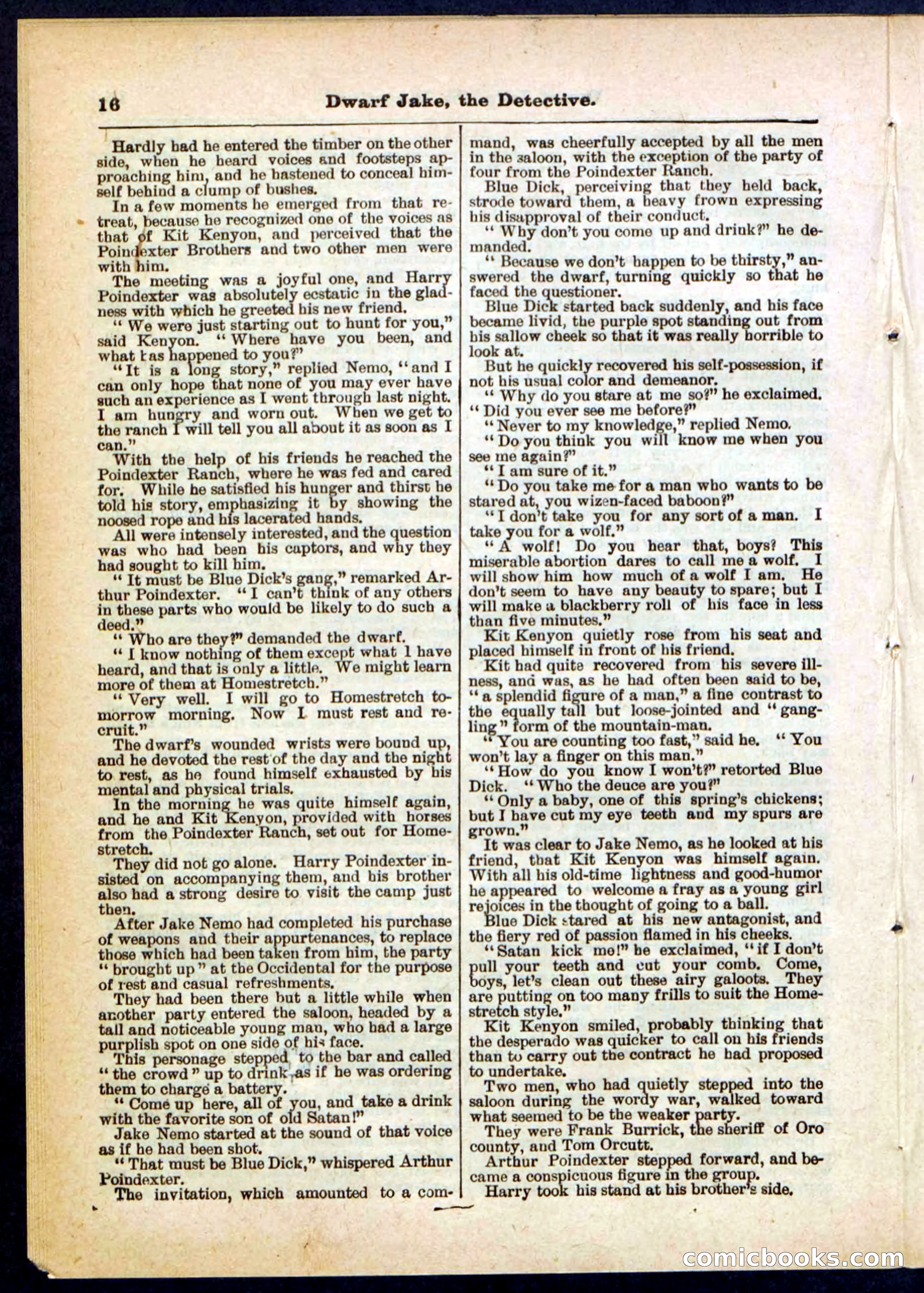 Beadle's Pocket Library No. 293 — page 16 of 32