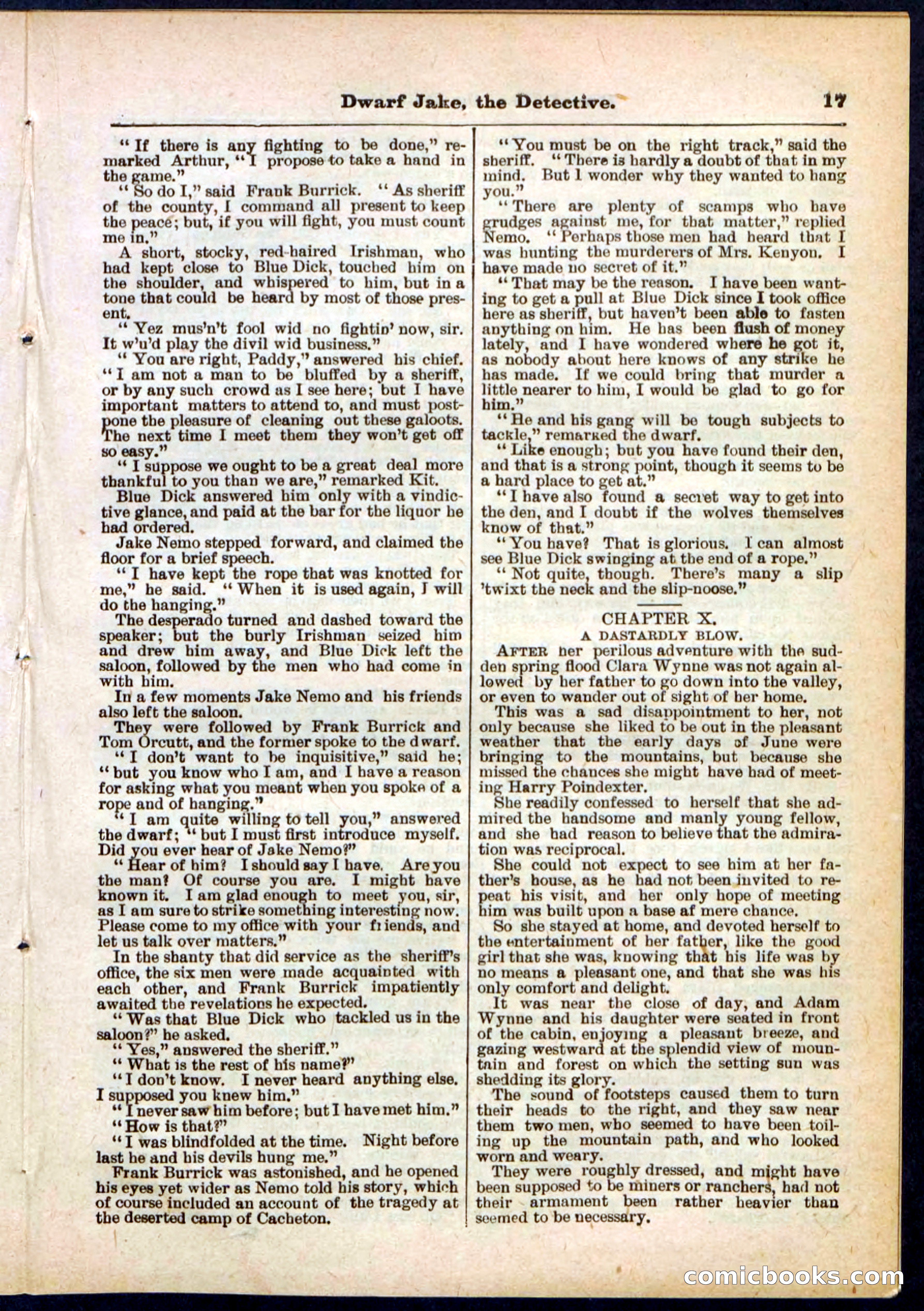 Beadle's Pocket Library No. 293 — page 17 of 32