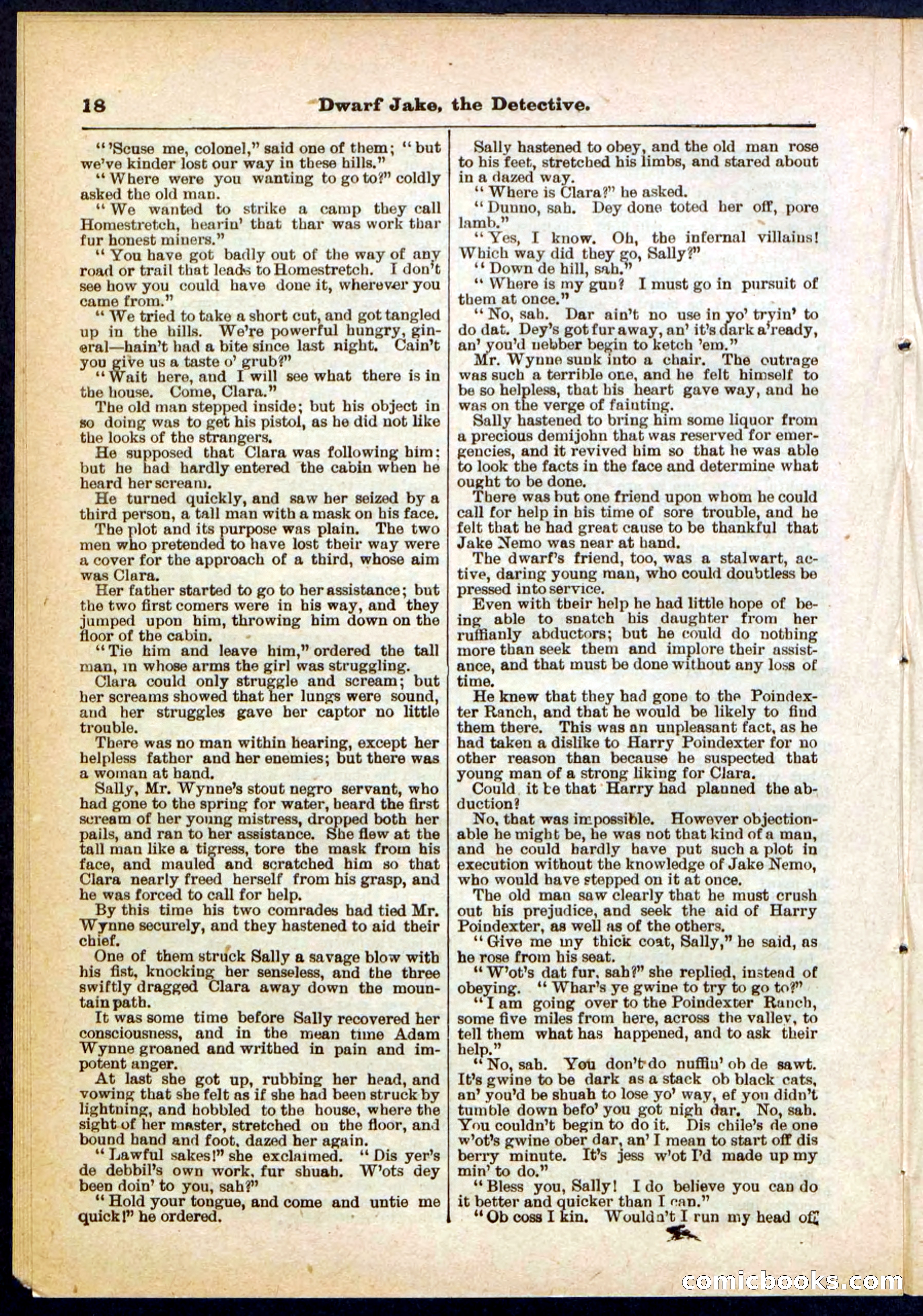 Beadle's Pocket Library No. 293 — page 18 of 32