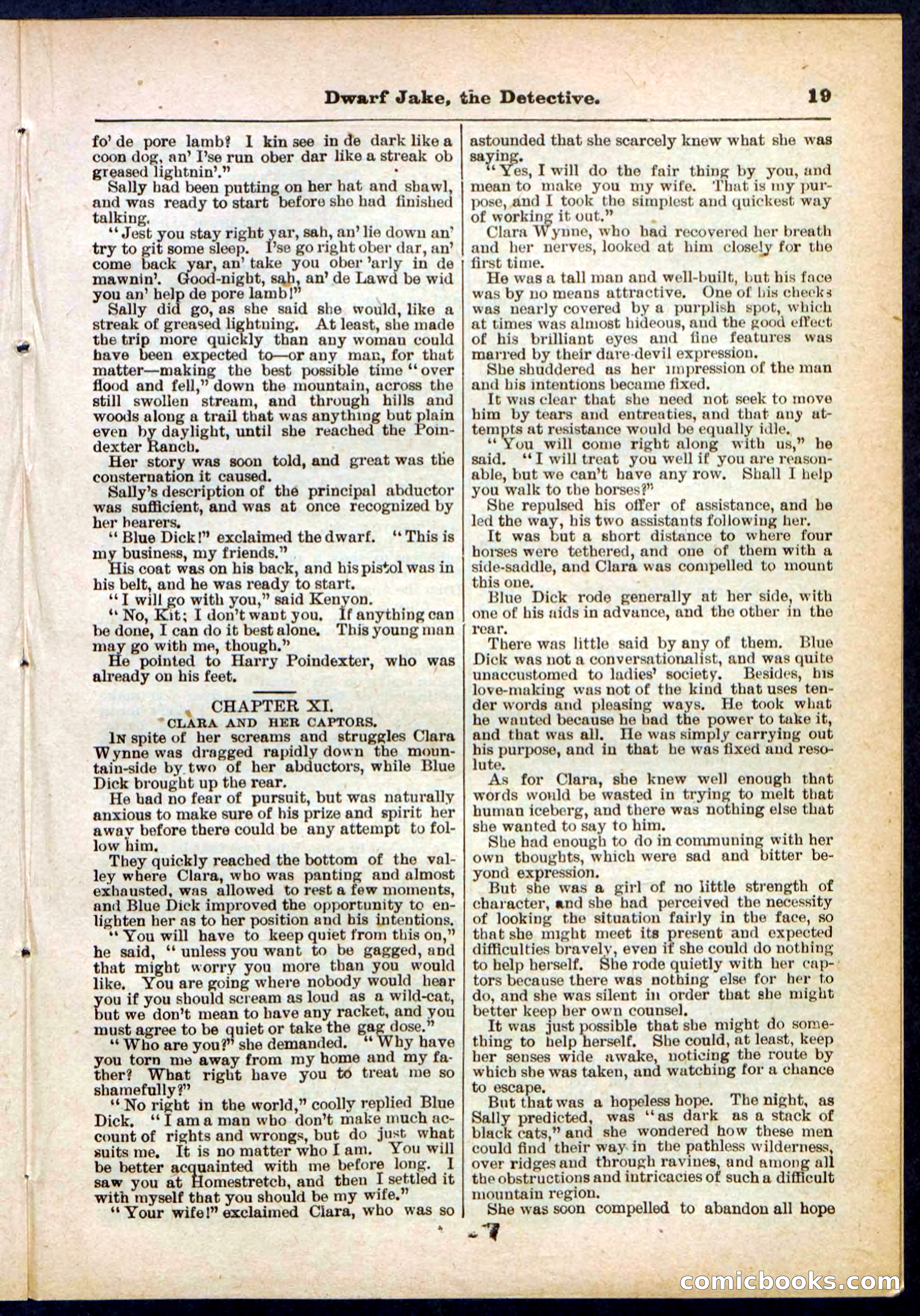 Beadle's Pocket Library No. 293 — page 19 of 32