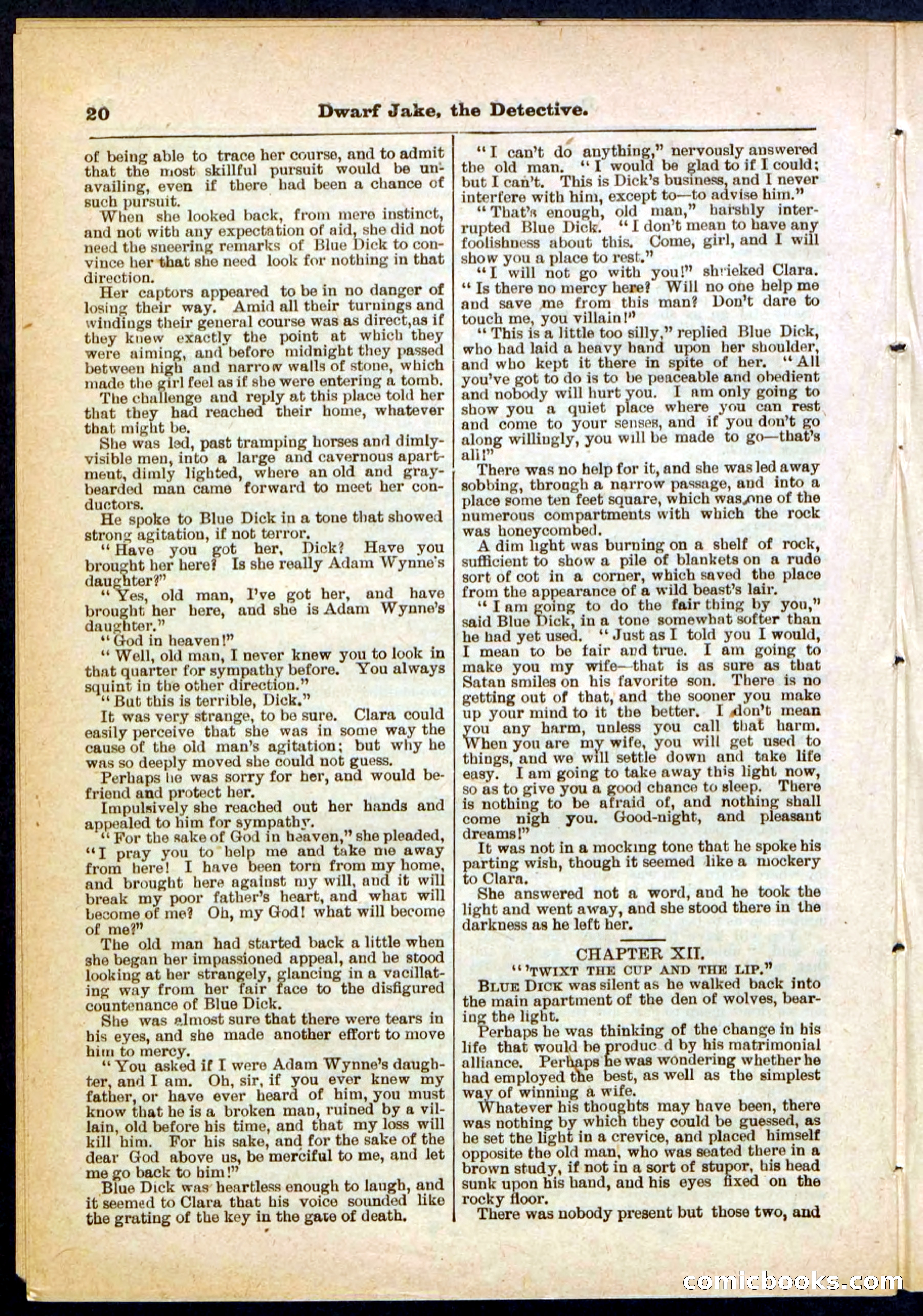 Beadle's Pocket Library No. 293 — page 20 of 32