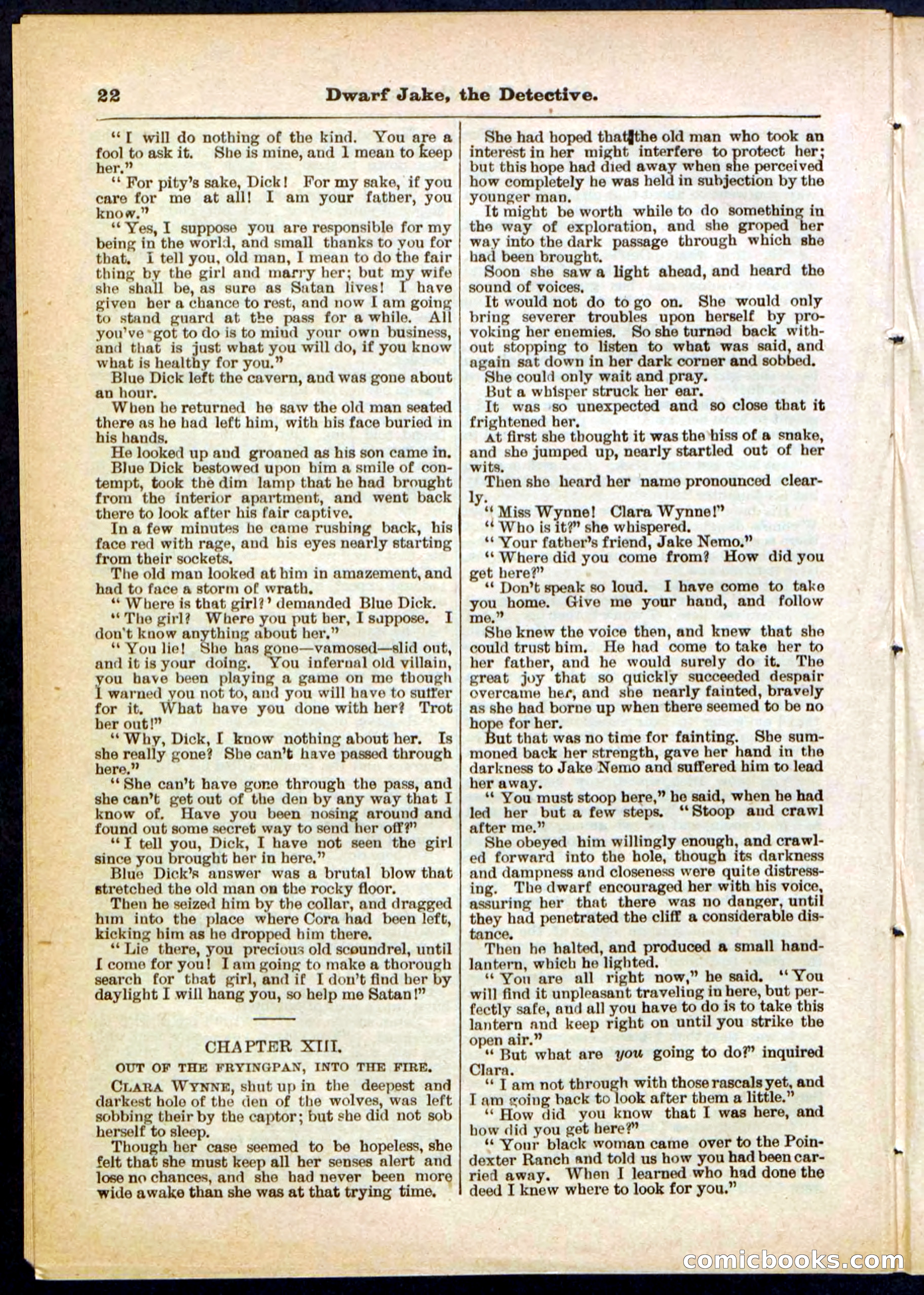 Beadle's Pocket Library No. 293 — page 22 of 32