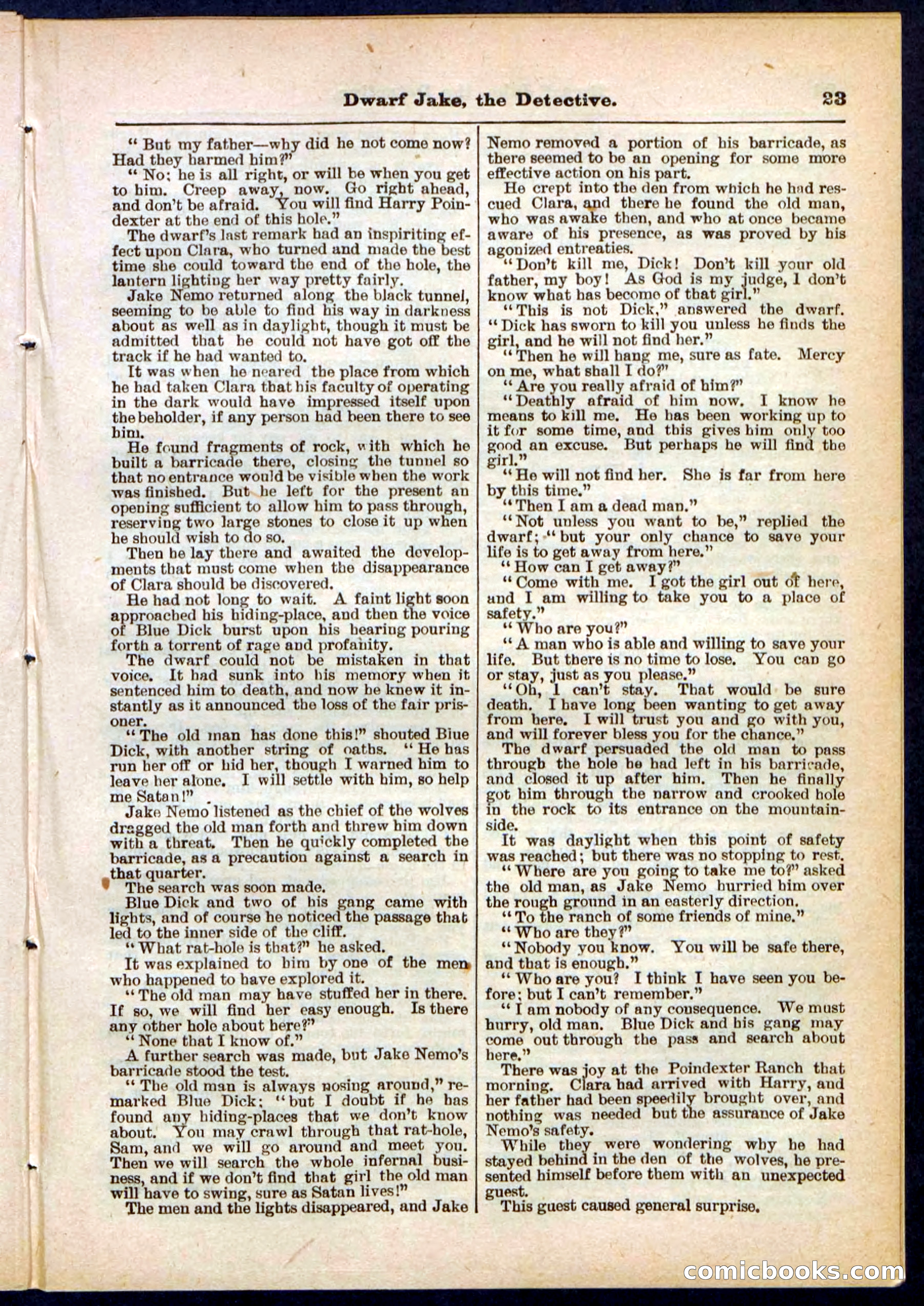 Beadle's Pocket Library No. 293 — page 23 of 32