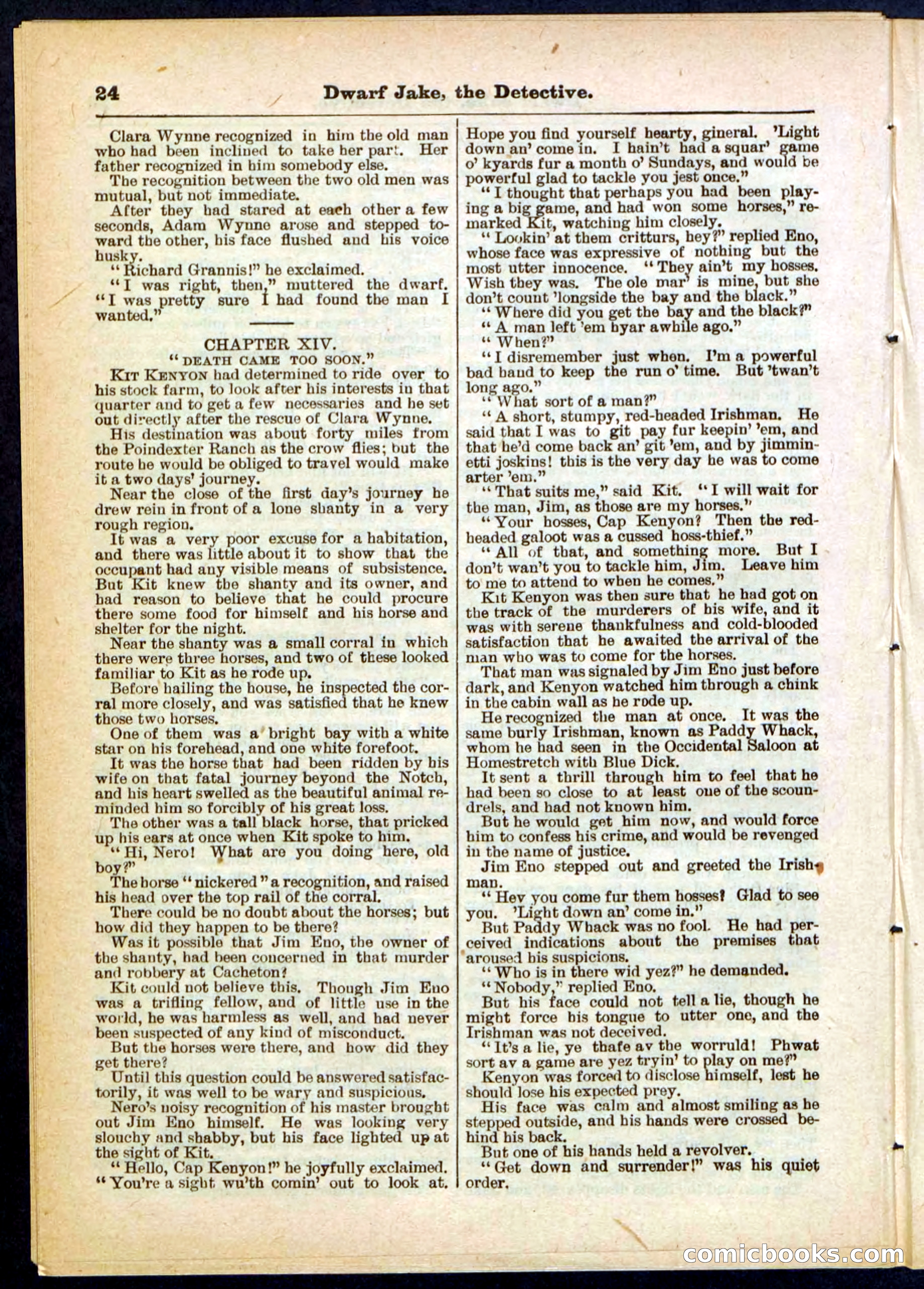 Beadle's Pocket Library No. 293 — page 24 of 32