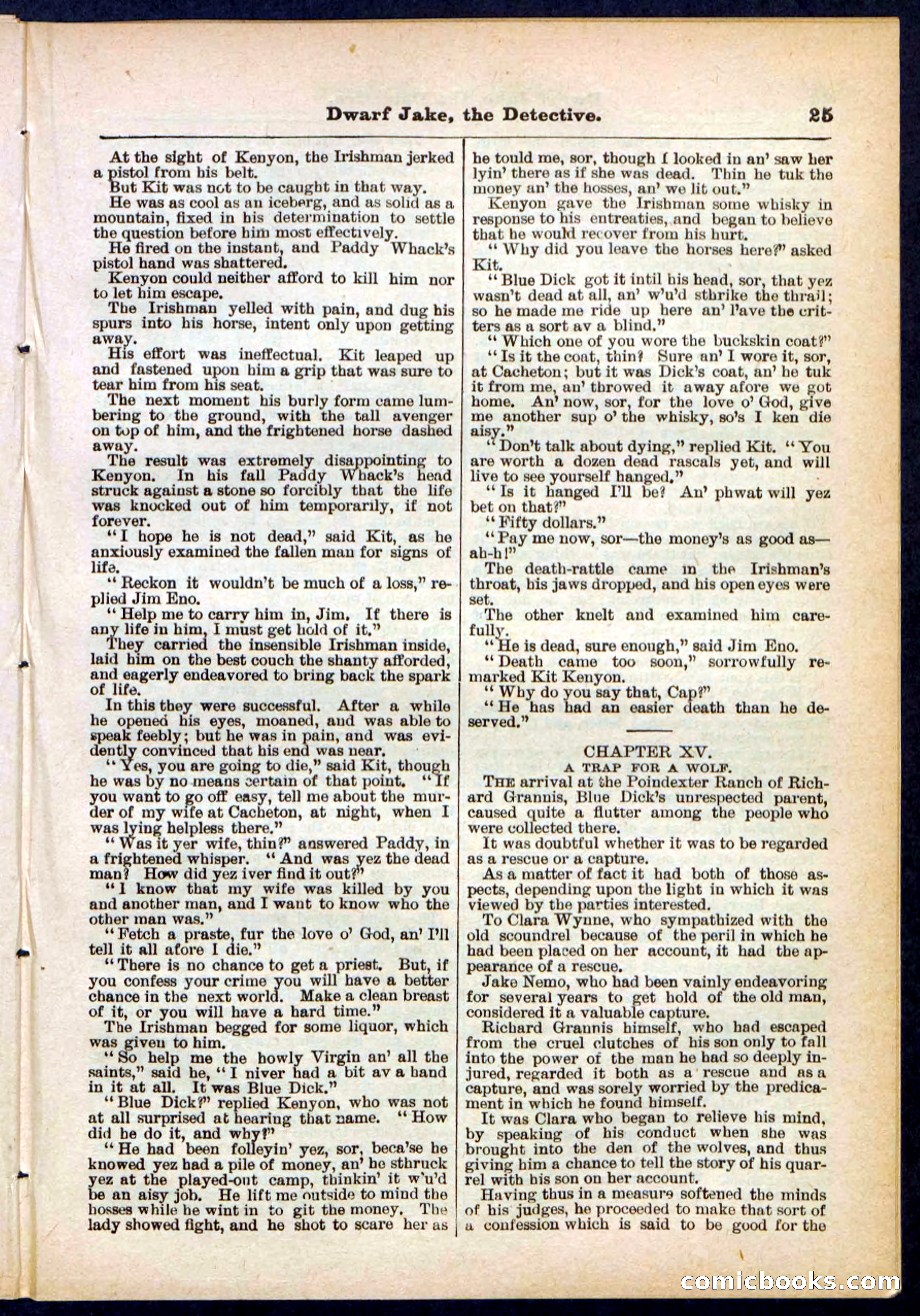 Beadle's Pocket Library No. 293 — page 25 of 32