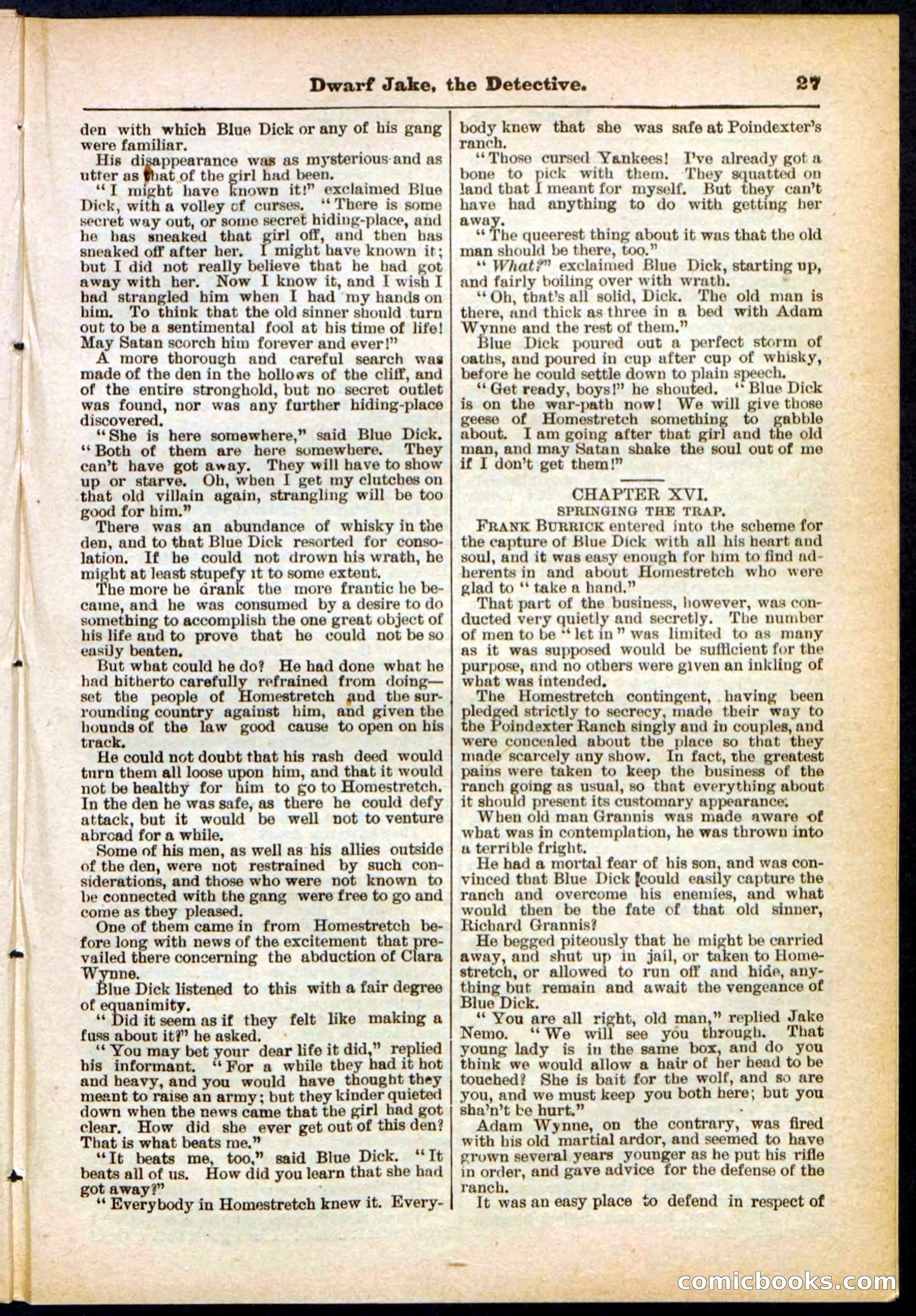 Beadle's Pocket Library No. 293 — page 27 of 32