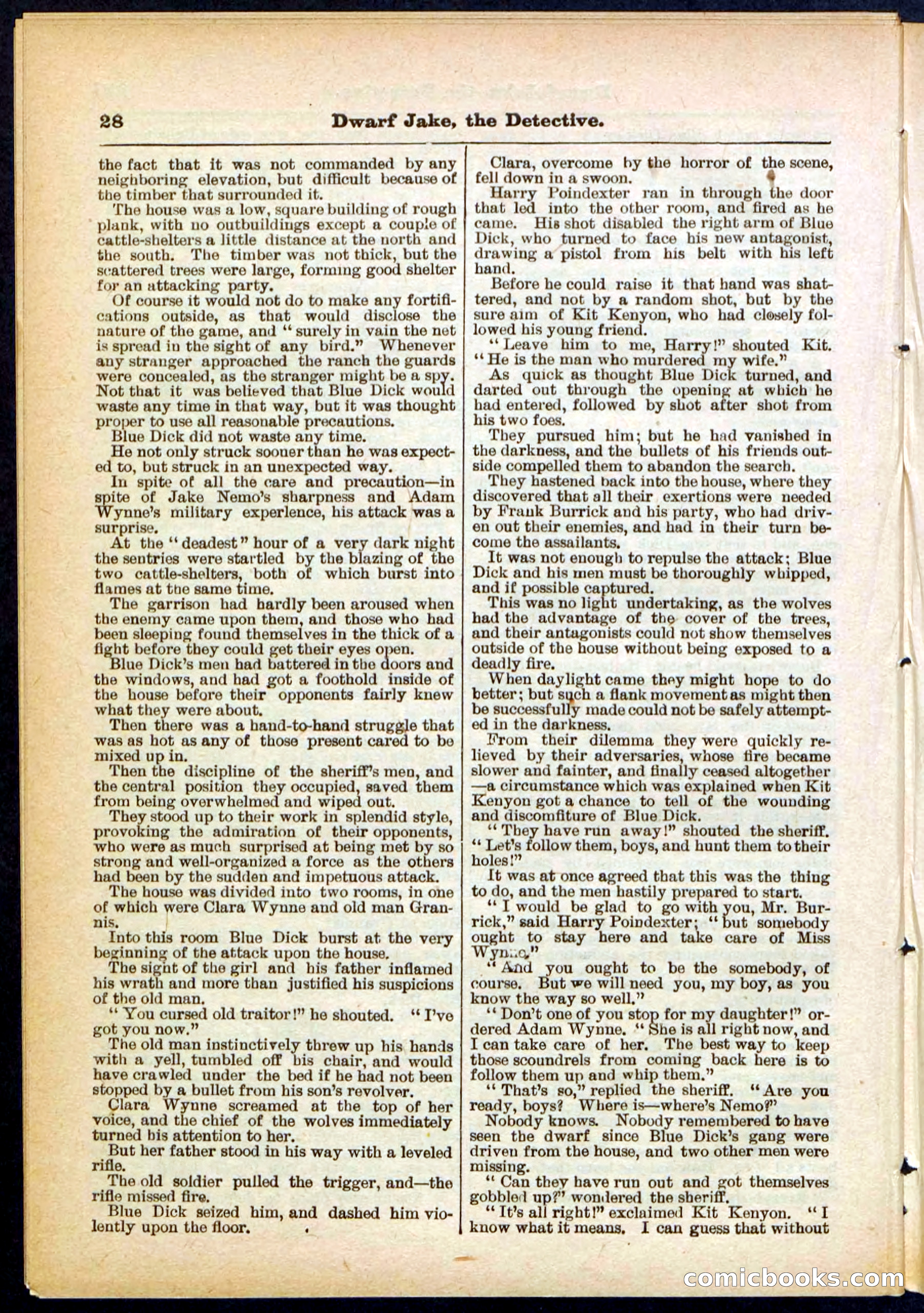 Beadle's Pocket Library No. 293 — page 28 of 32