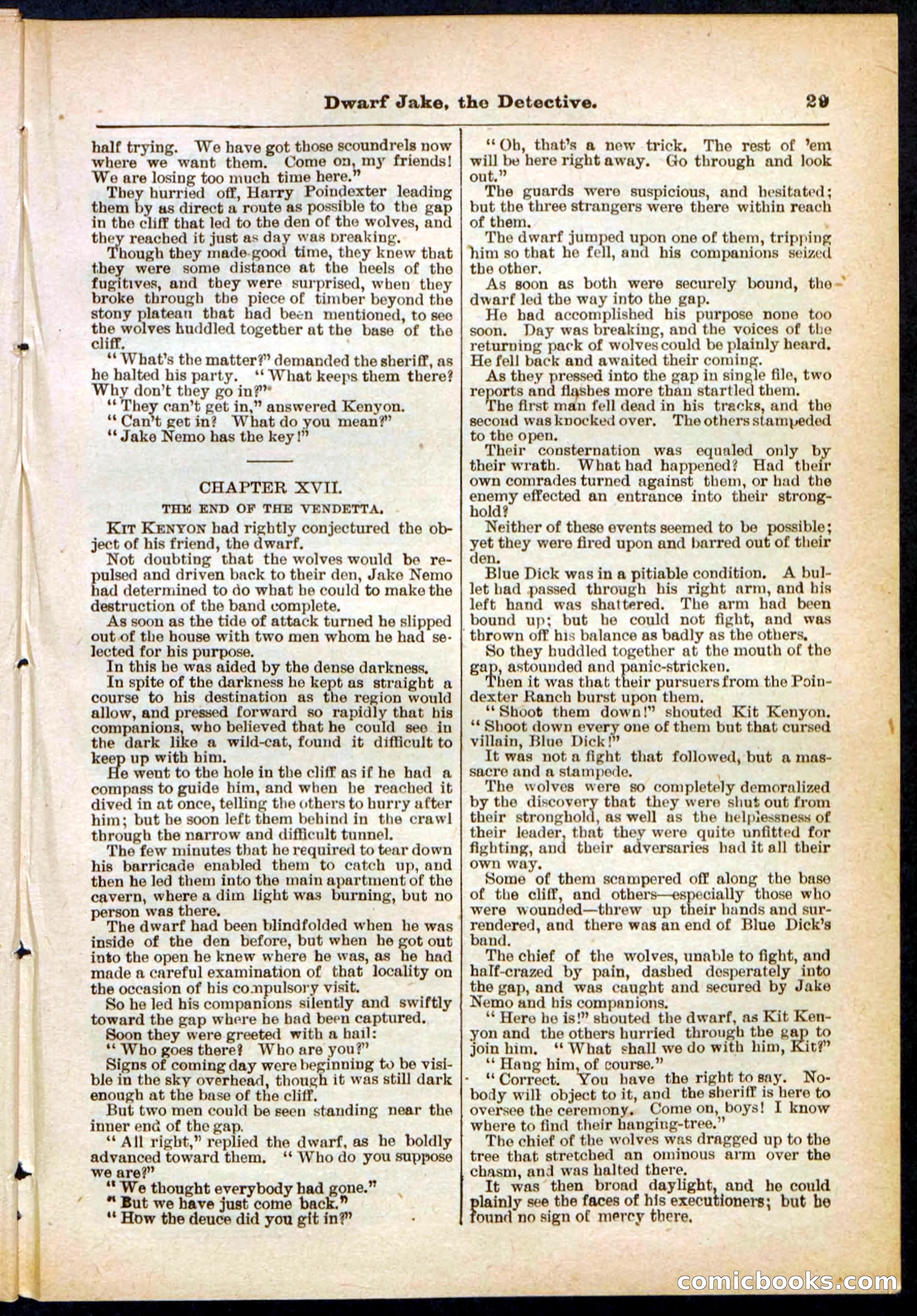 Beadle's Pocket Library No. 293 — page 29 of 32