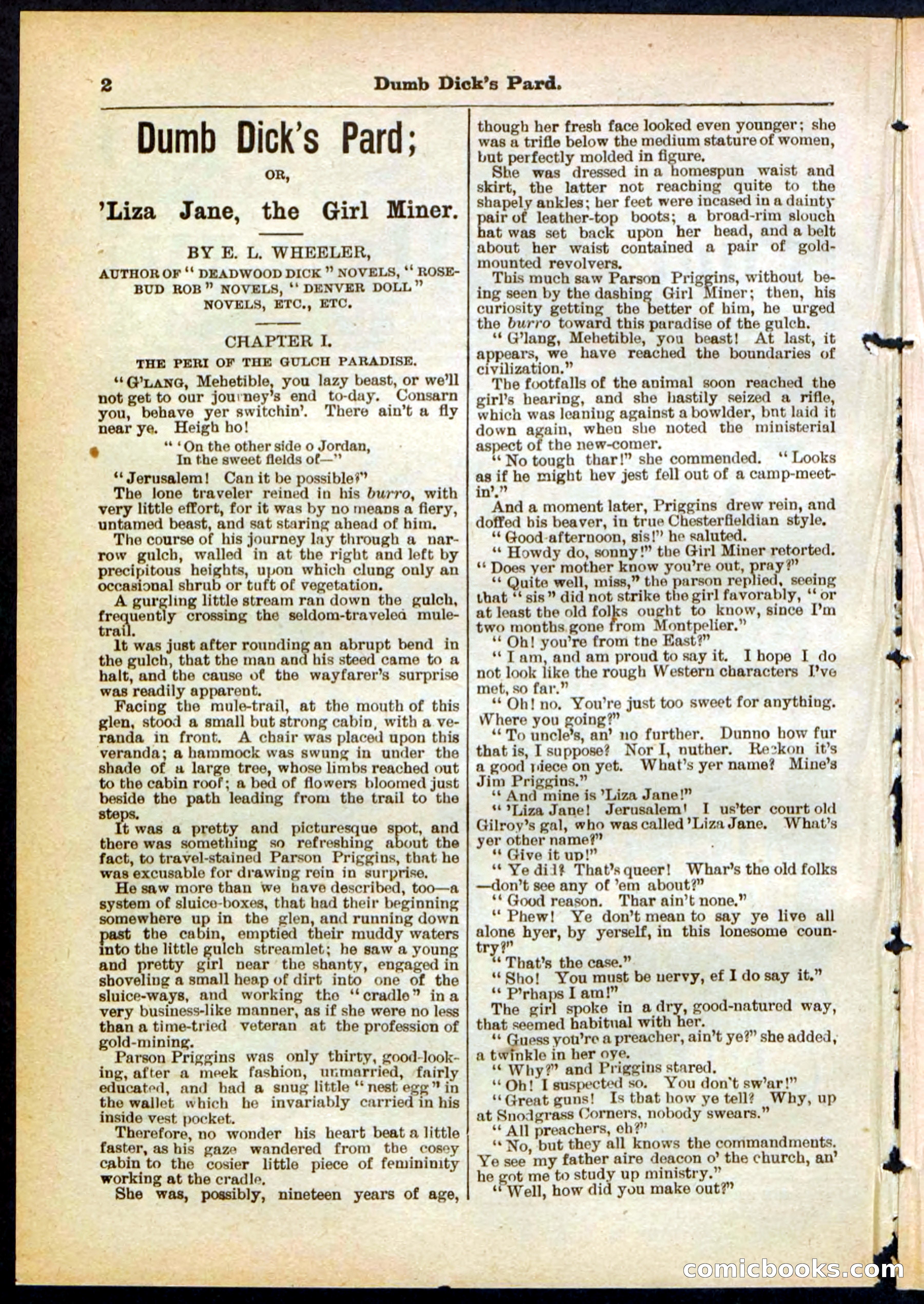 Beadle's Pocket Library No. 294 — page 2 of 32