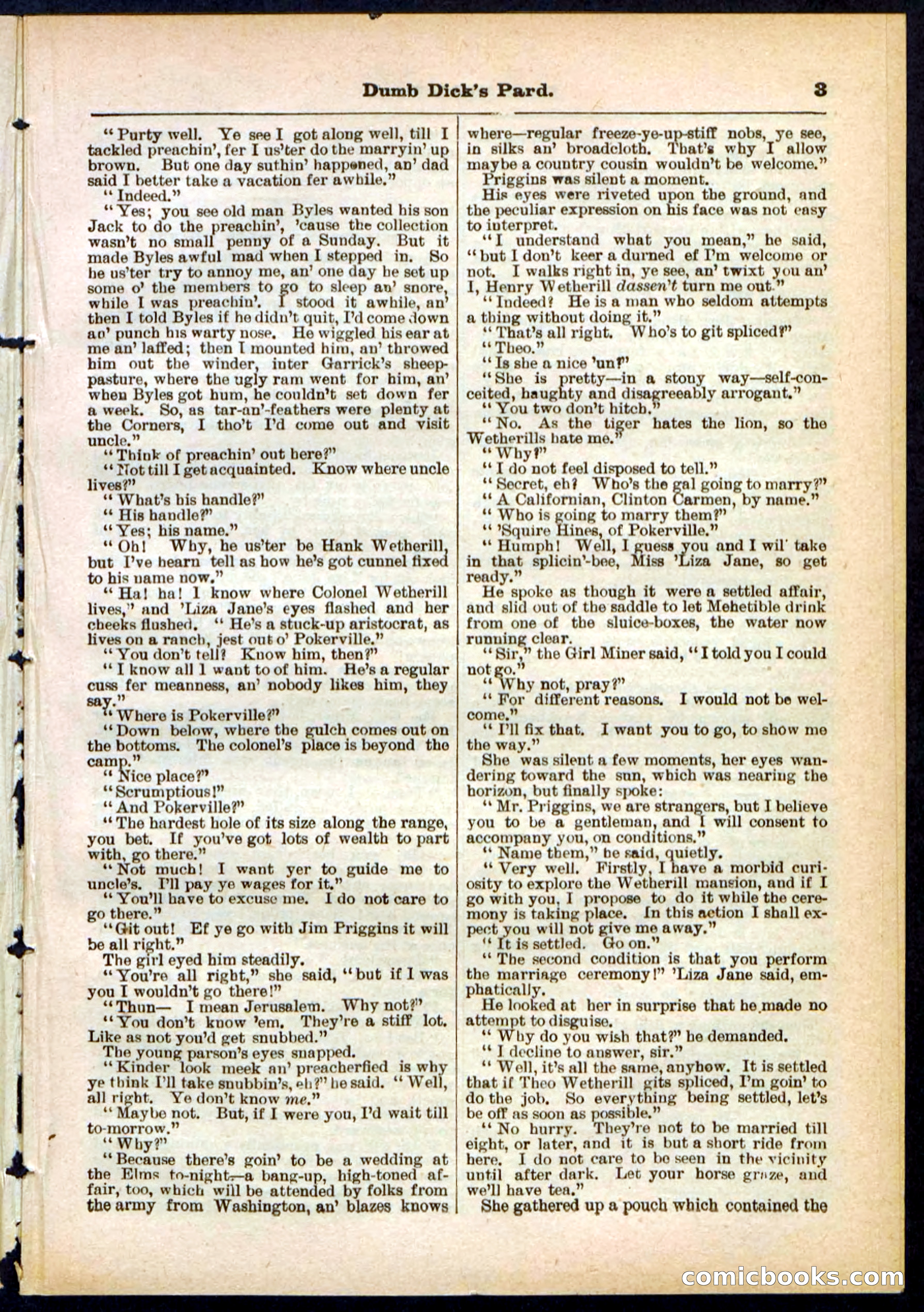 Beadle's Pocket Library No. 294 — page 3 of 32