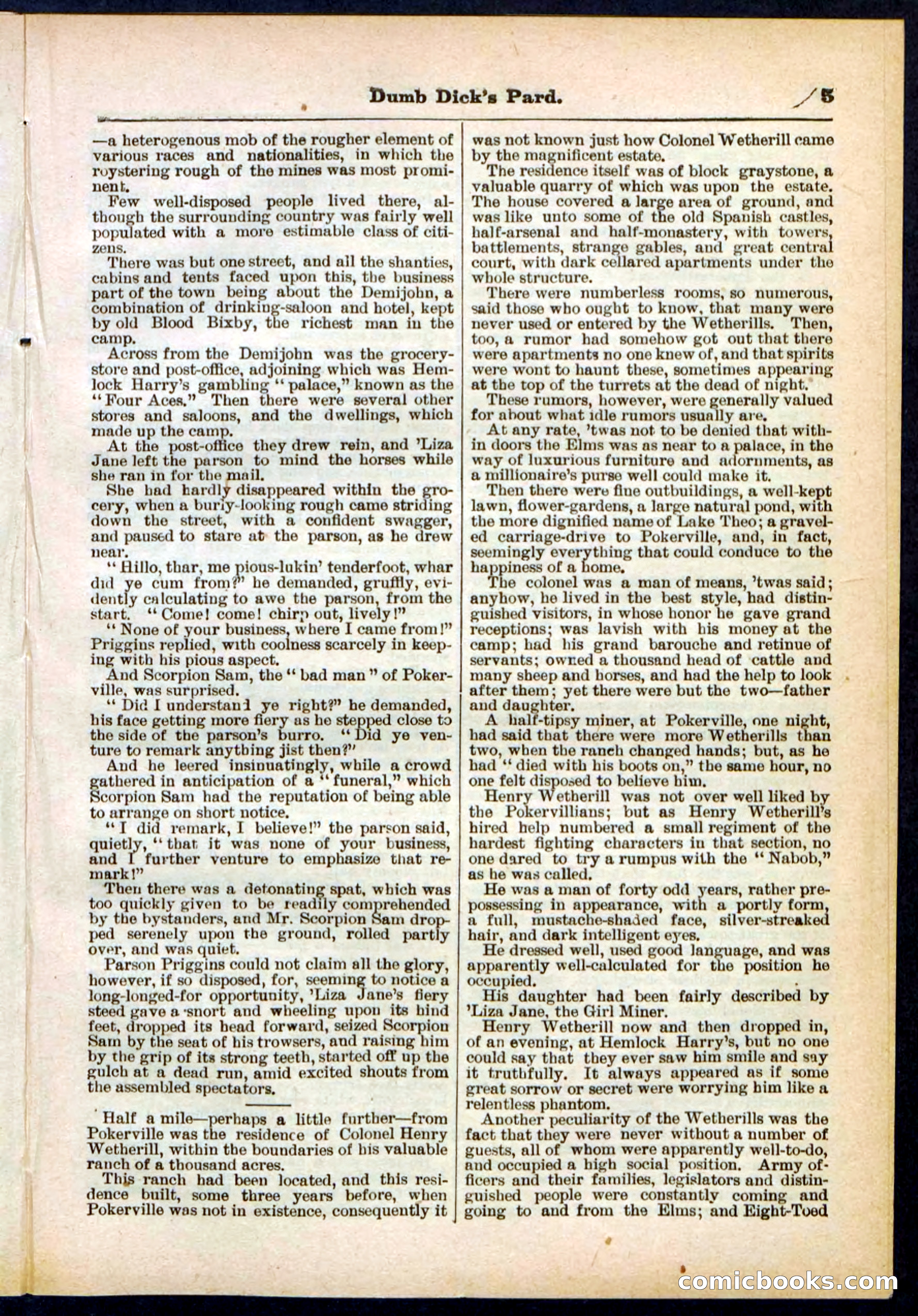 Beadle's Pocket Library No. 294 — page 5 of 32