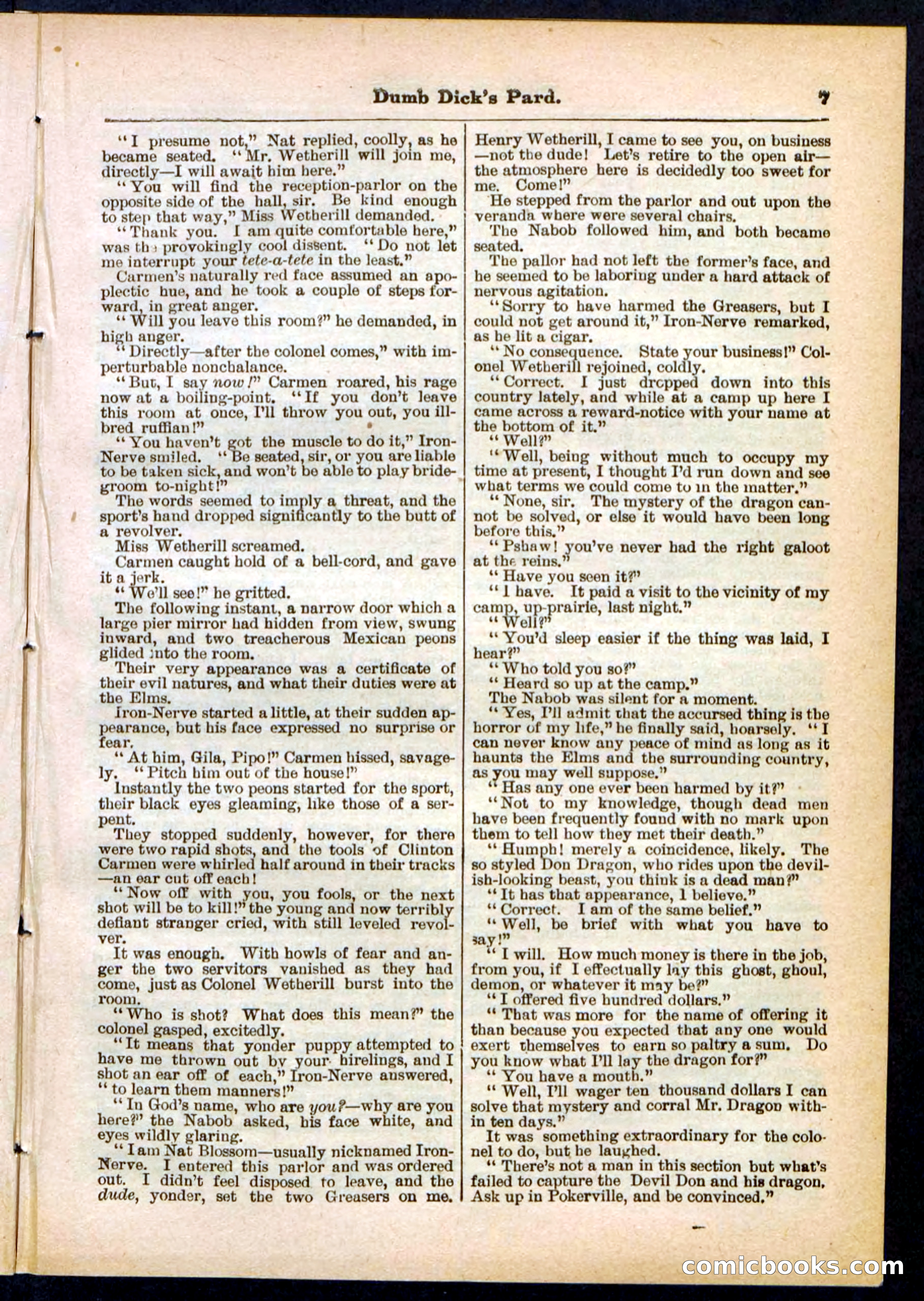 Beadle's Pocket Library No. 294 — page 7 of 32