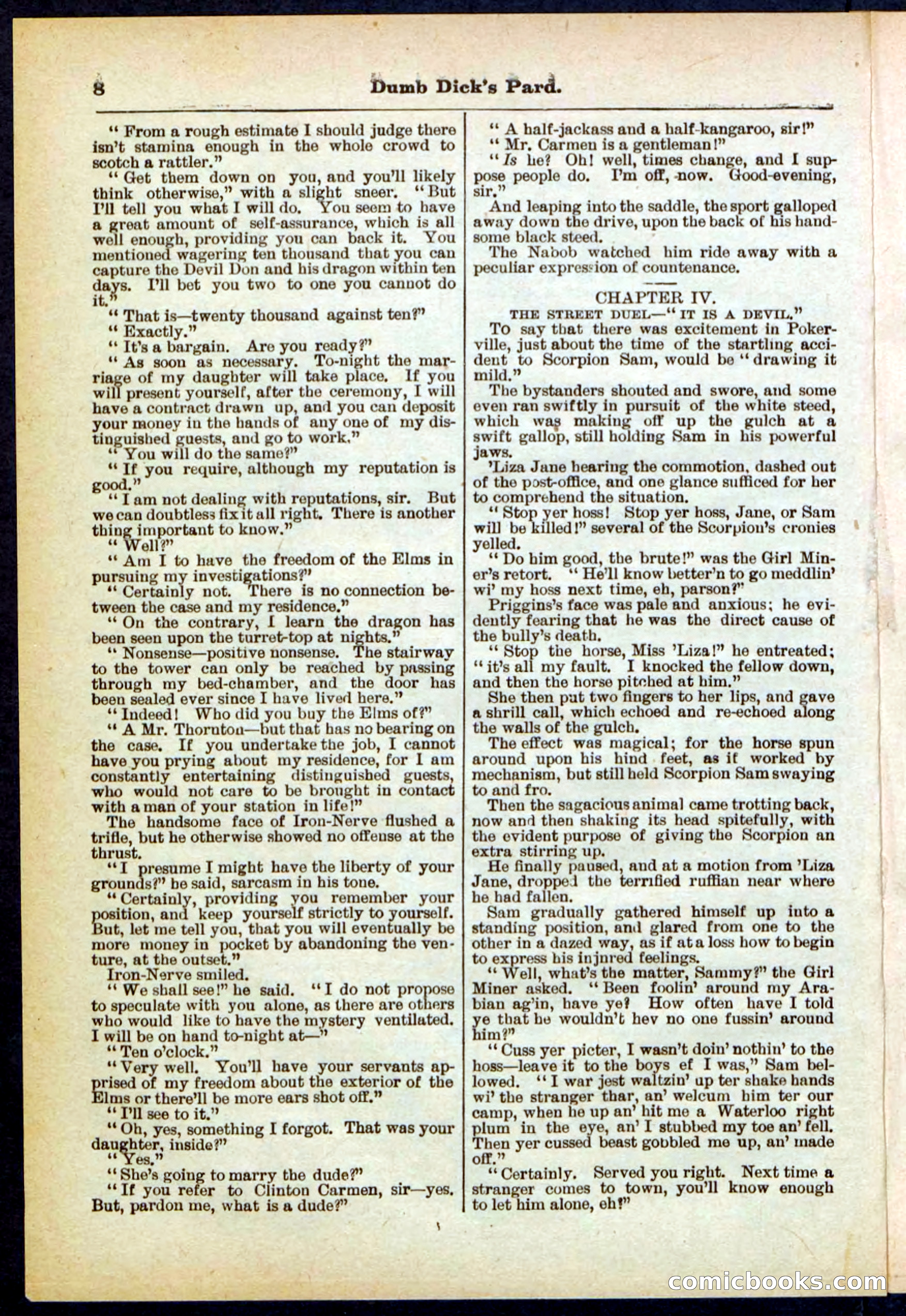 Beadle's Pocket Library No. 294 — page 8 of 32