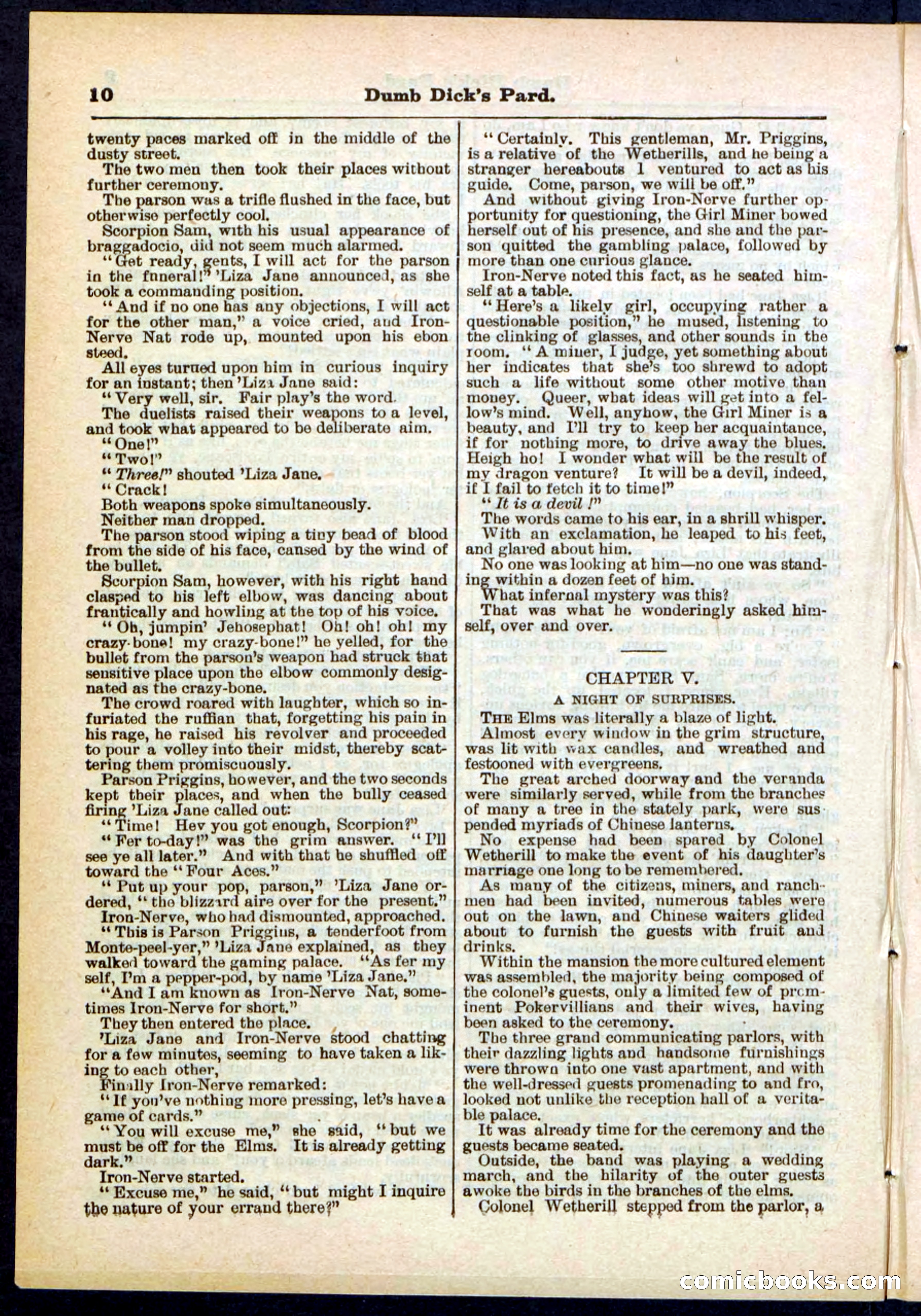 Beadle's Pocket Library No. 294 — page 10 of 32