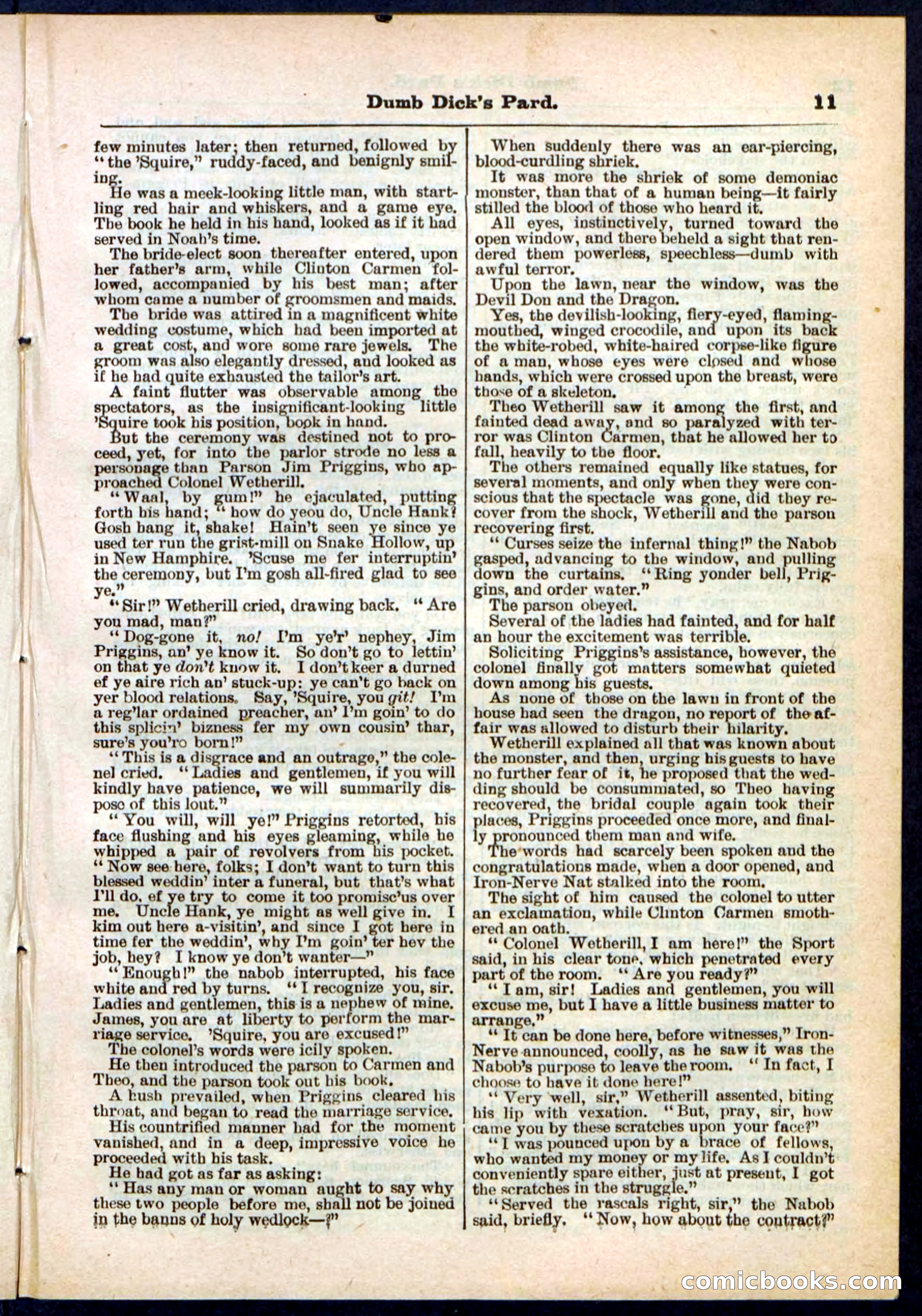 Beadle's Pocket Library No. 294 — page 11 of 32