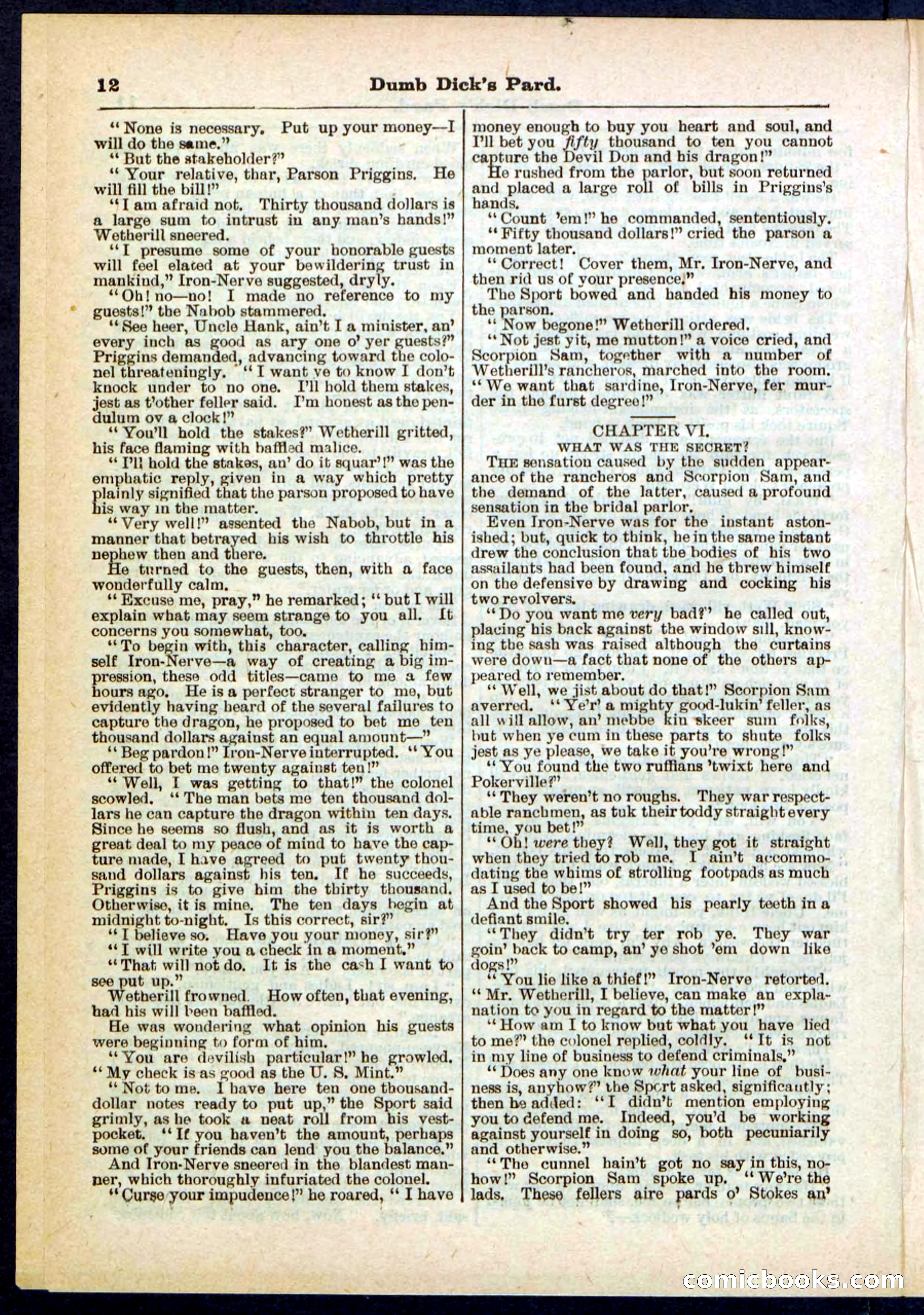 Beadle's Pocket Library No. 294 — page 12 of 32