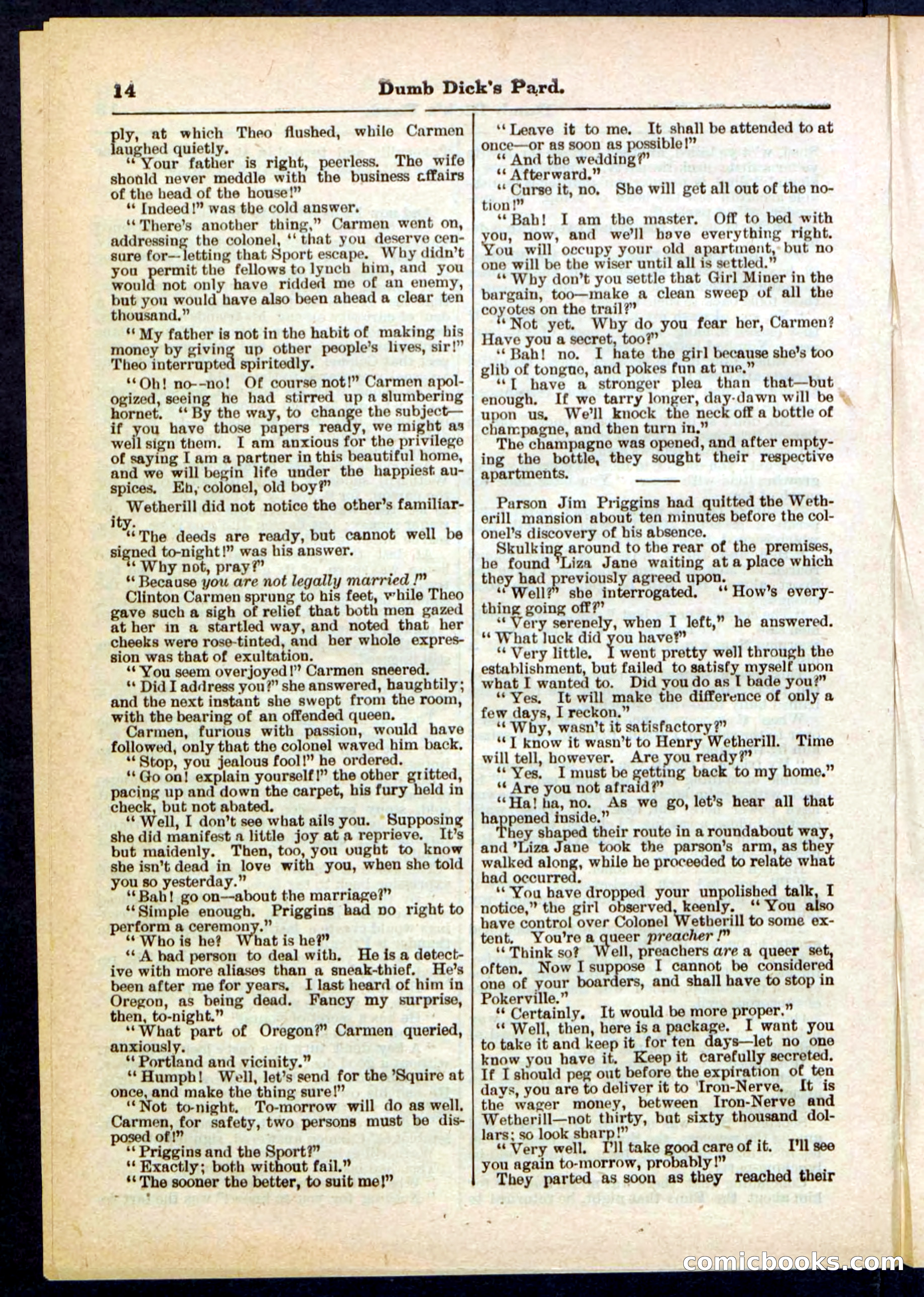 Beadle's Pocket Library No. 294 — page 14 of 32