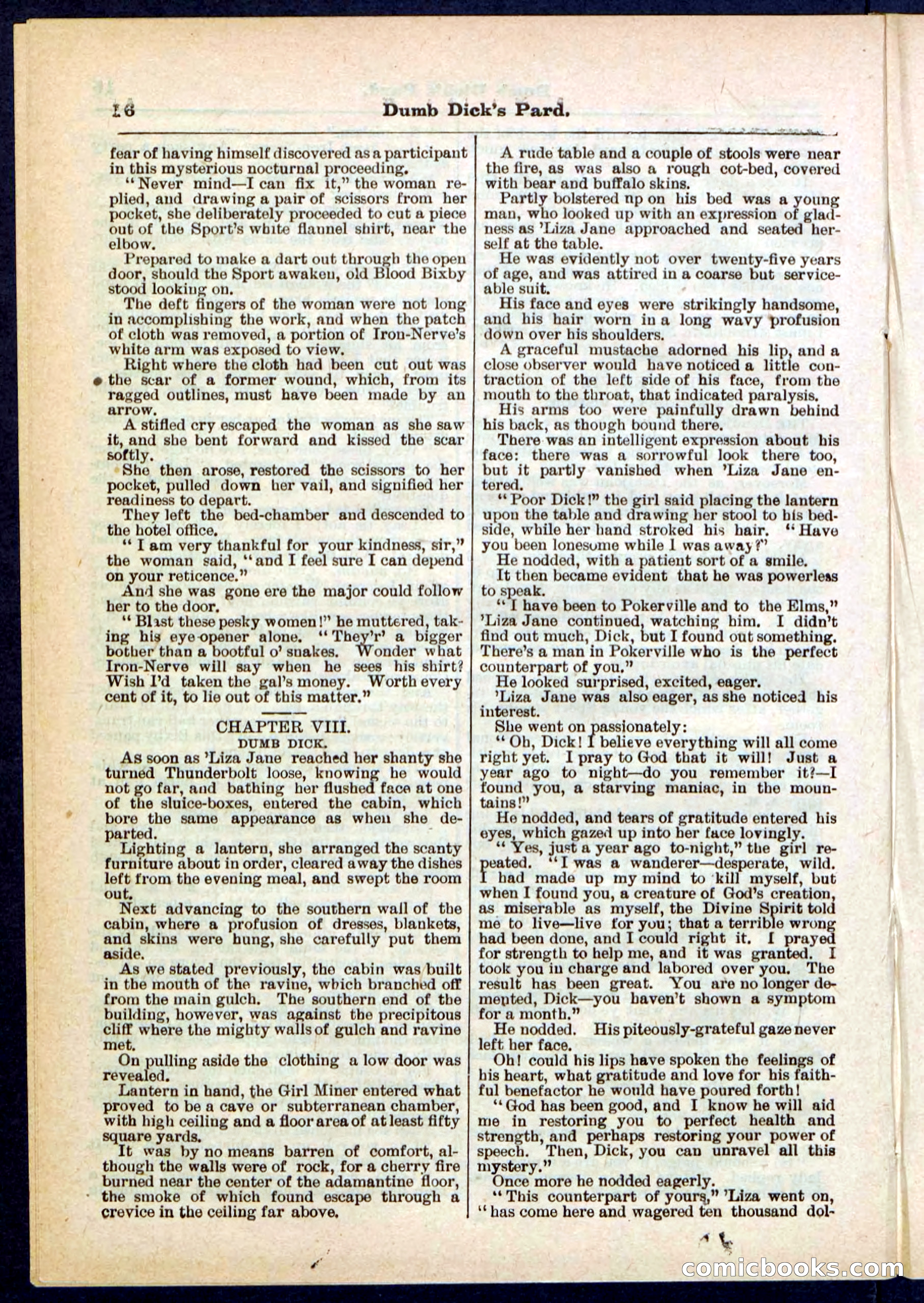Beadle's Pocket Library No. 294 — page 16 of 32