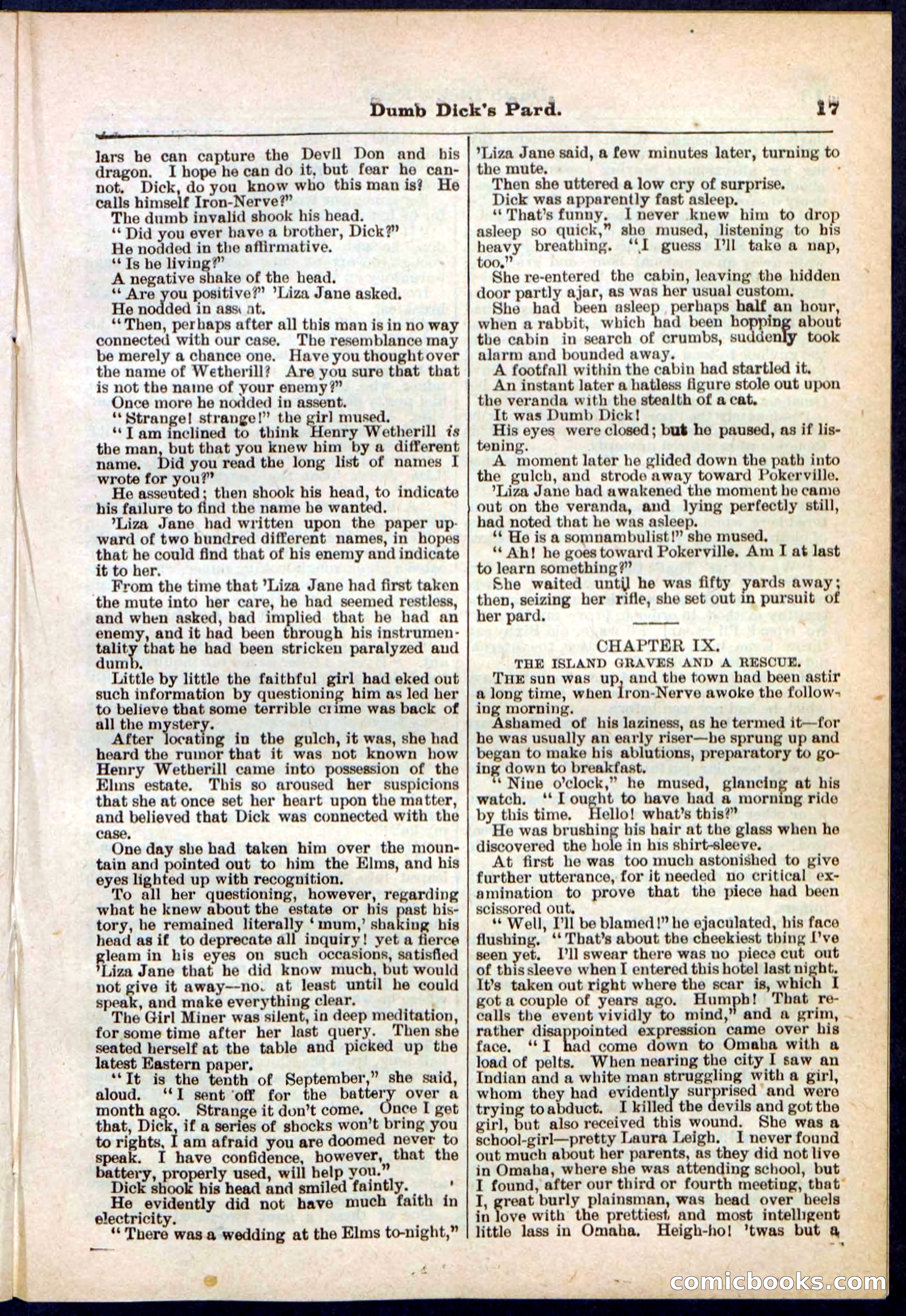 Beadle's Pocket Library No. 294 — page 17 of 32
