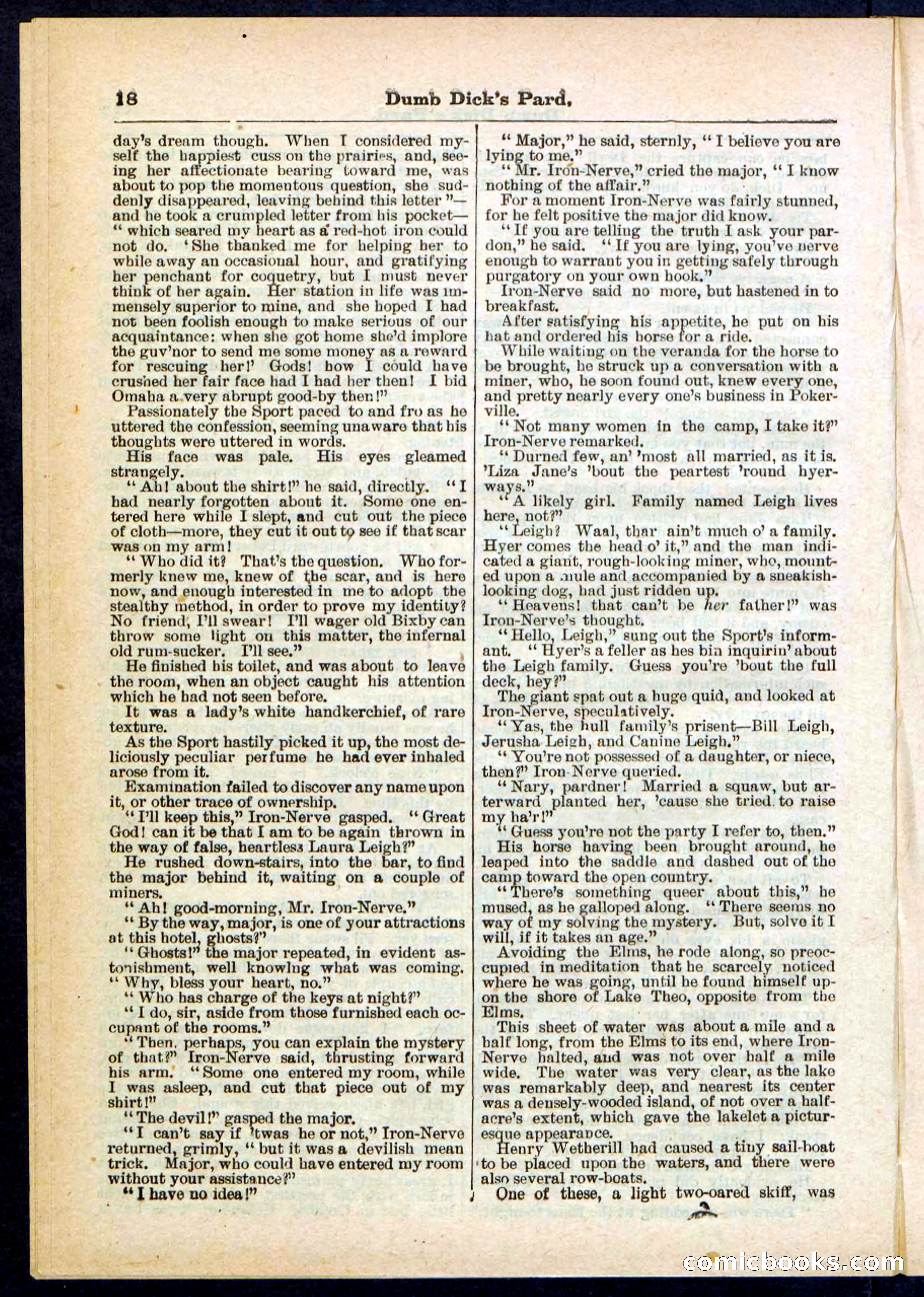 Beadle's Pocket Library No. 294 — page 18 of 32