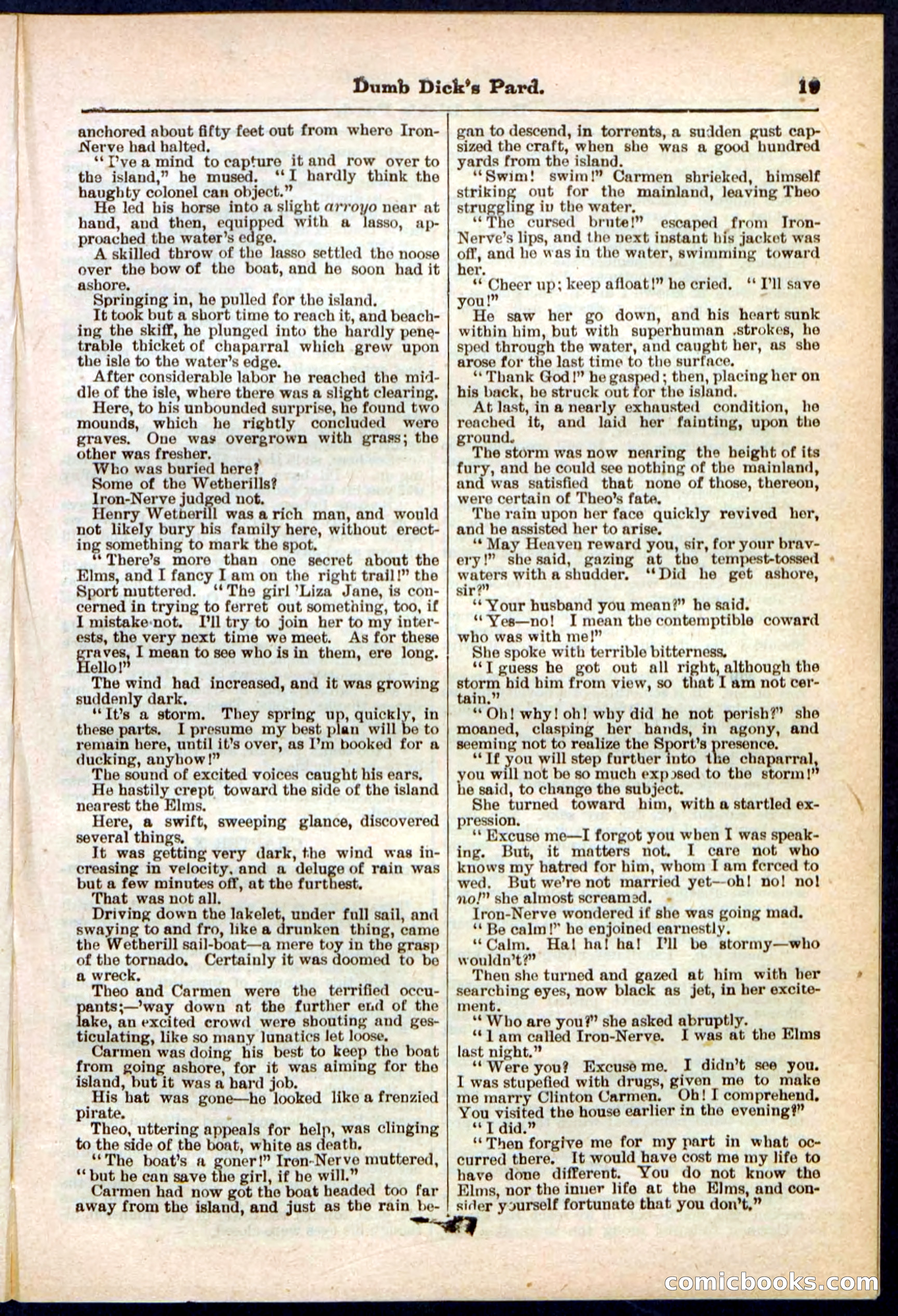 Beadle's Pocket Library No. 294 — page 19 of 32