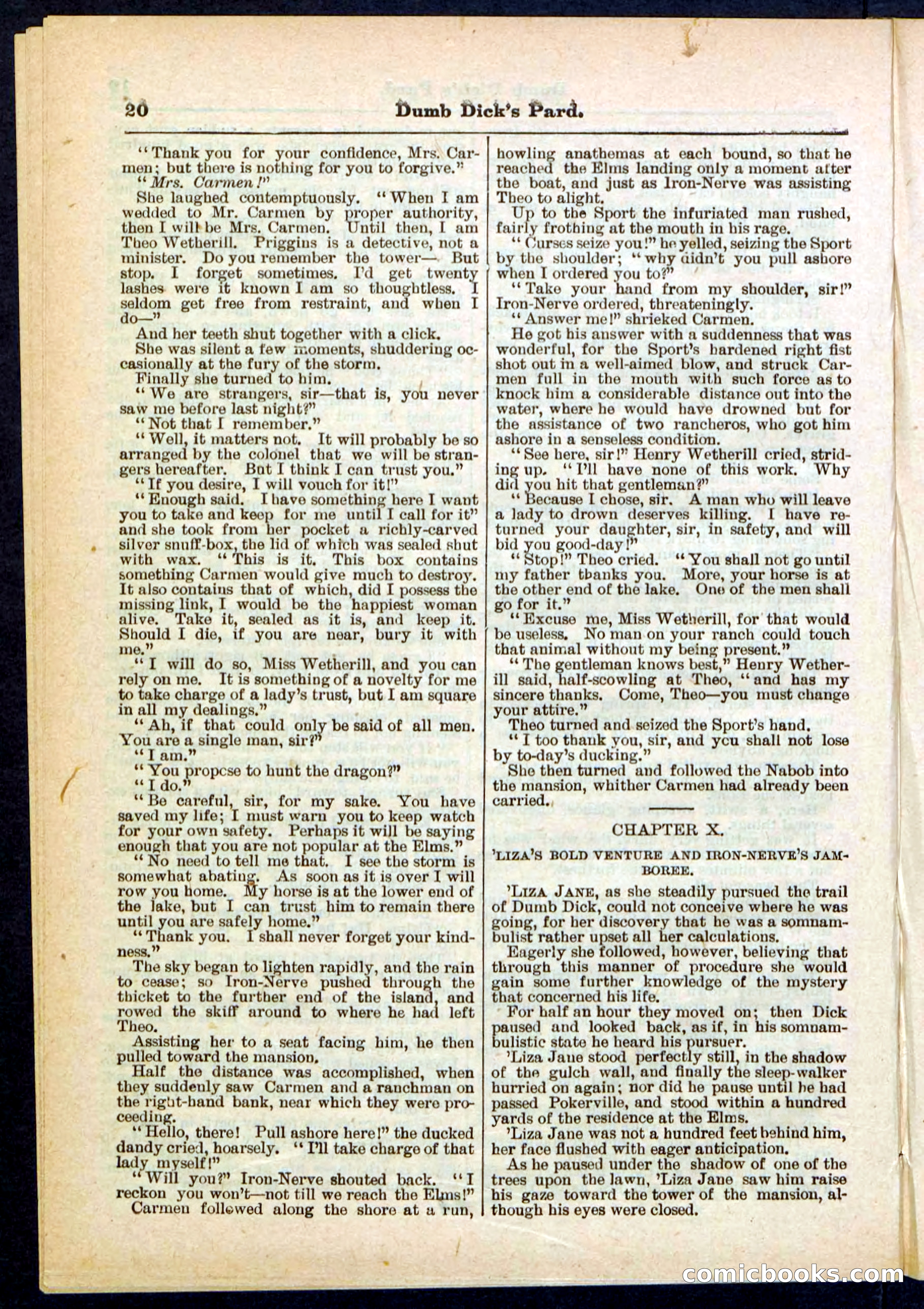 Beadle's Pocket Library No. 294 — page 20 of 32