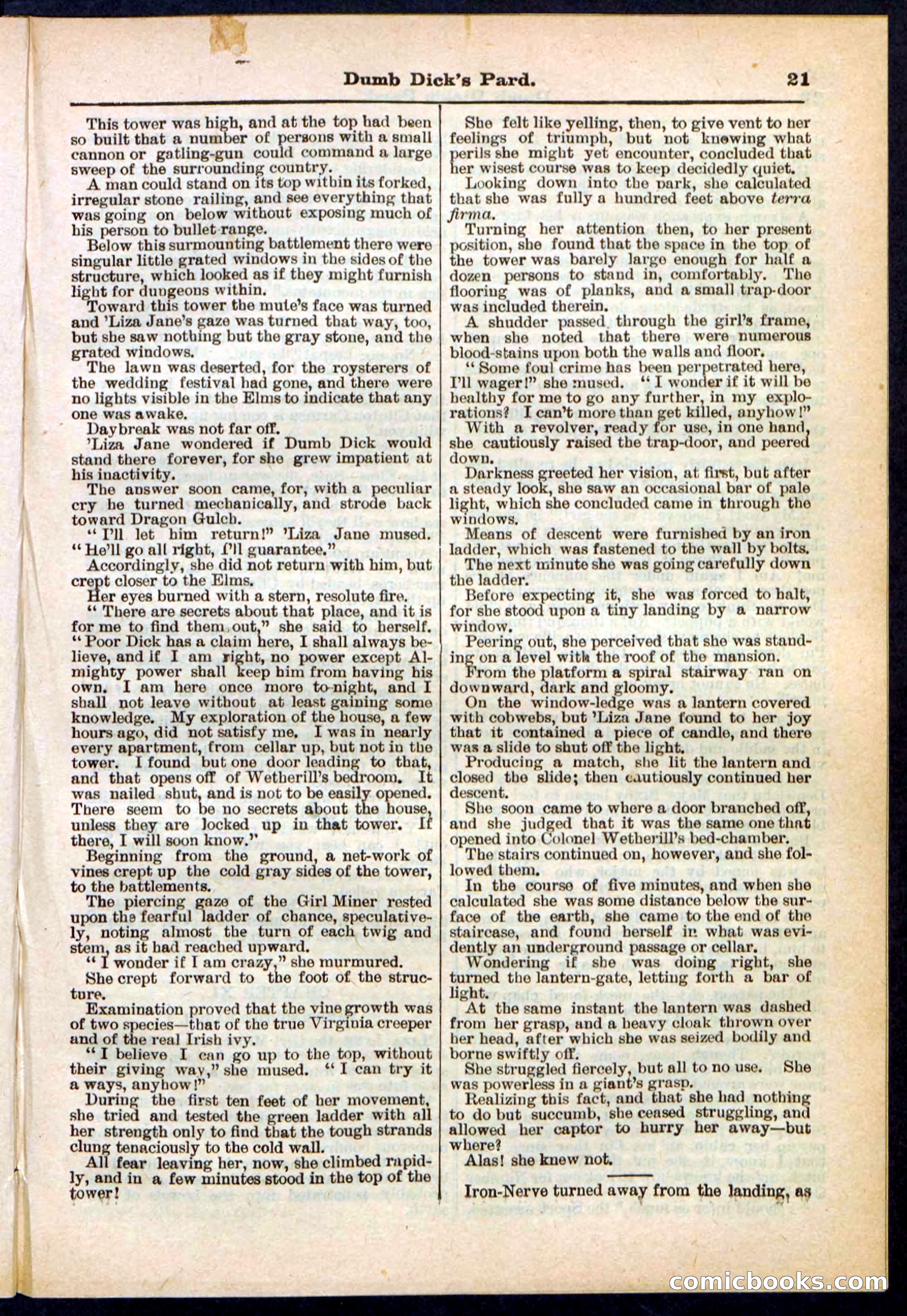 Beadle's Pocket Library No. 294 — page 21 of 32