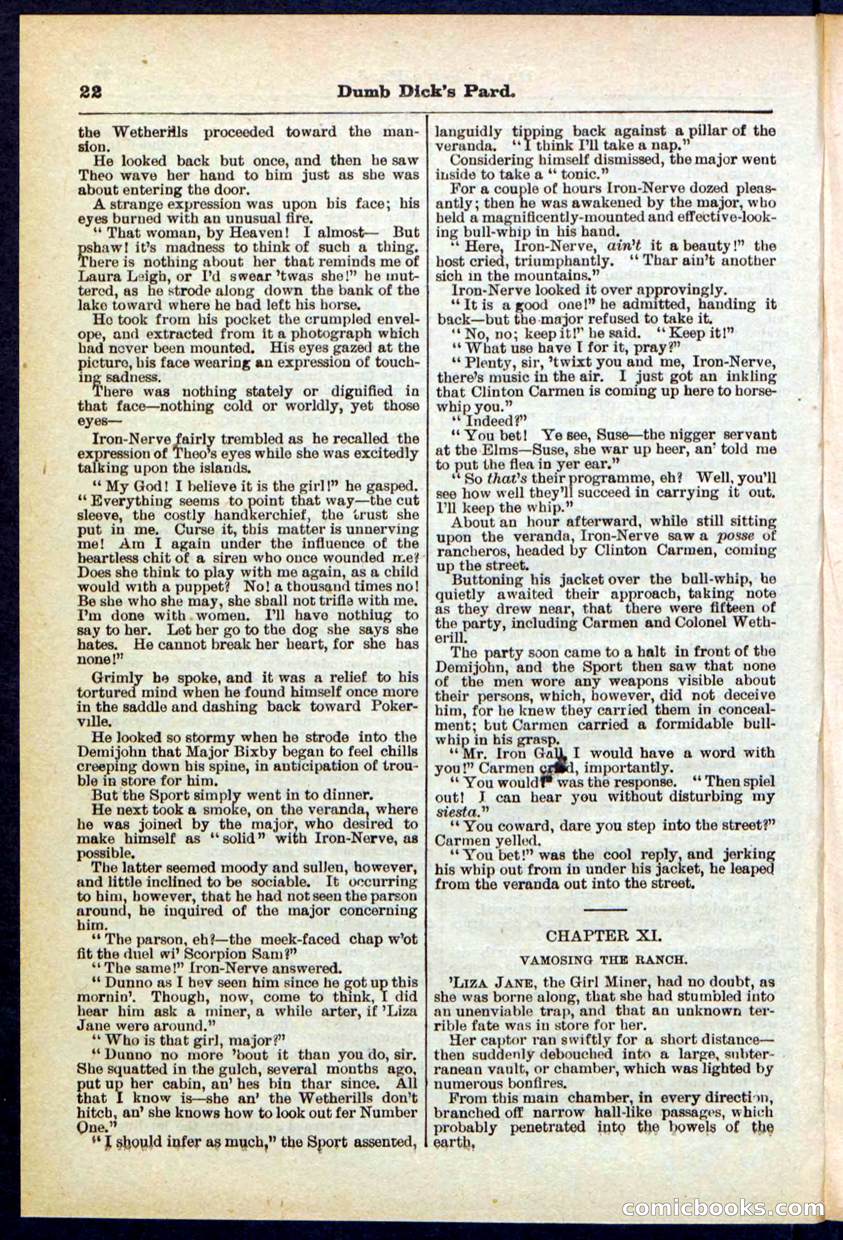 Beadle's Pocket Library No. 294 — page 22 of 32